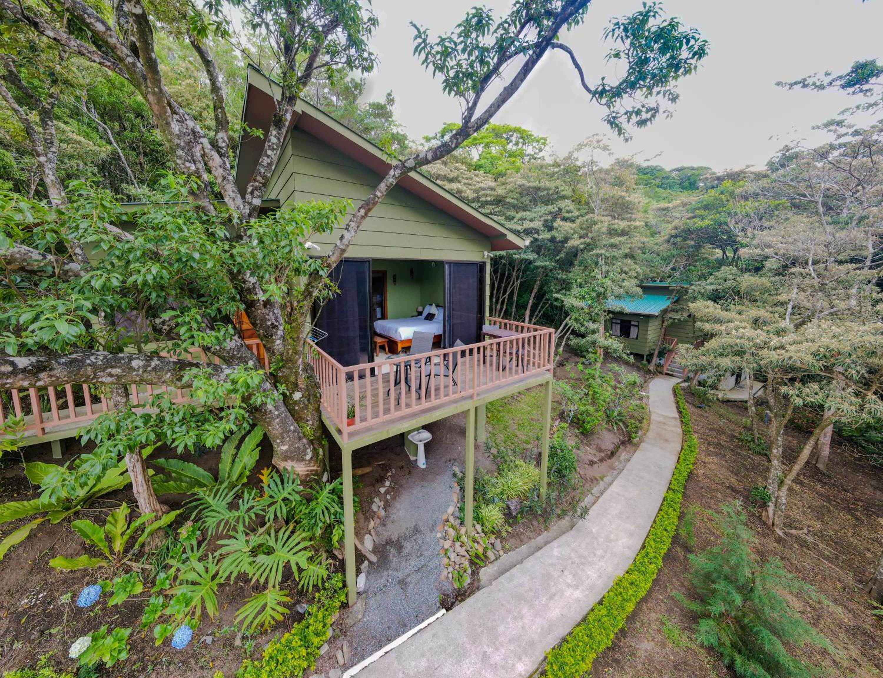 Superior Villa photo 3