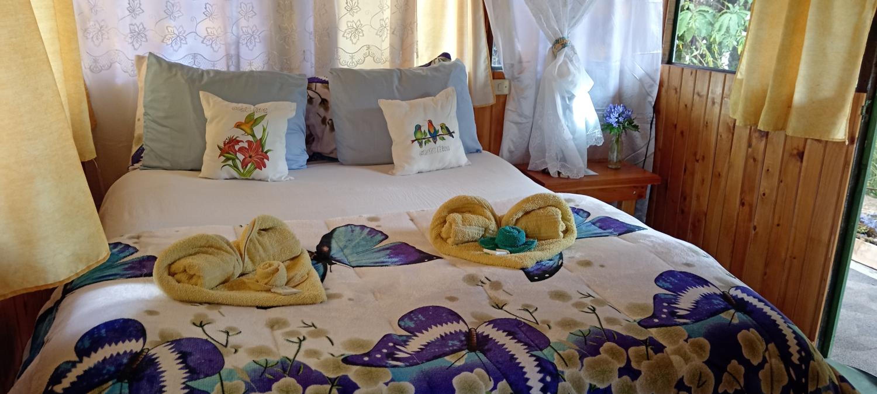 Double Room photo 3