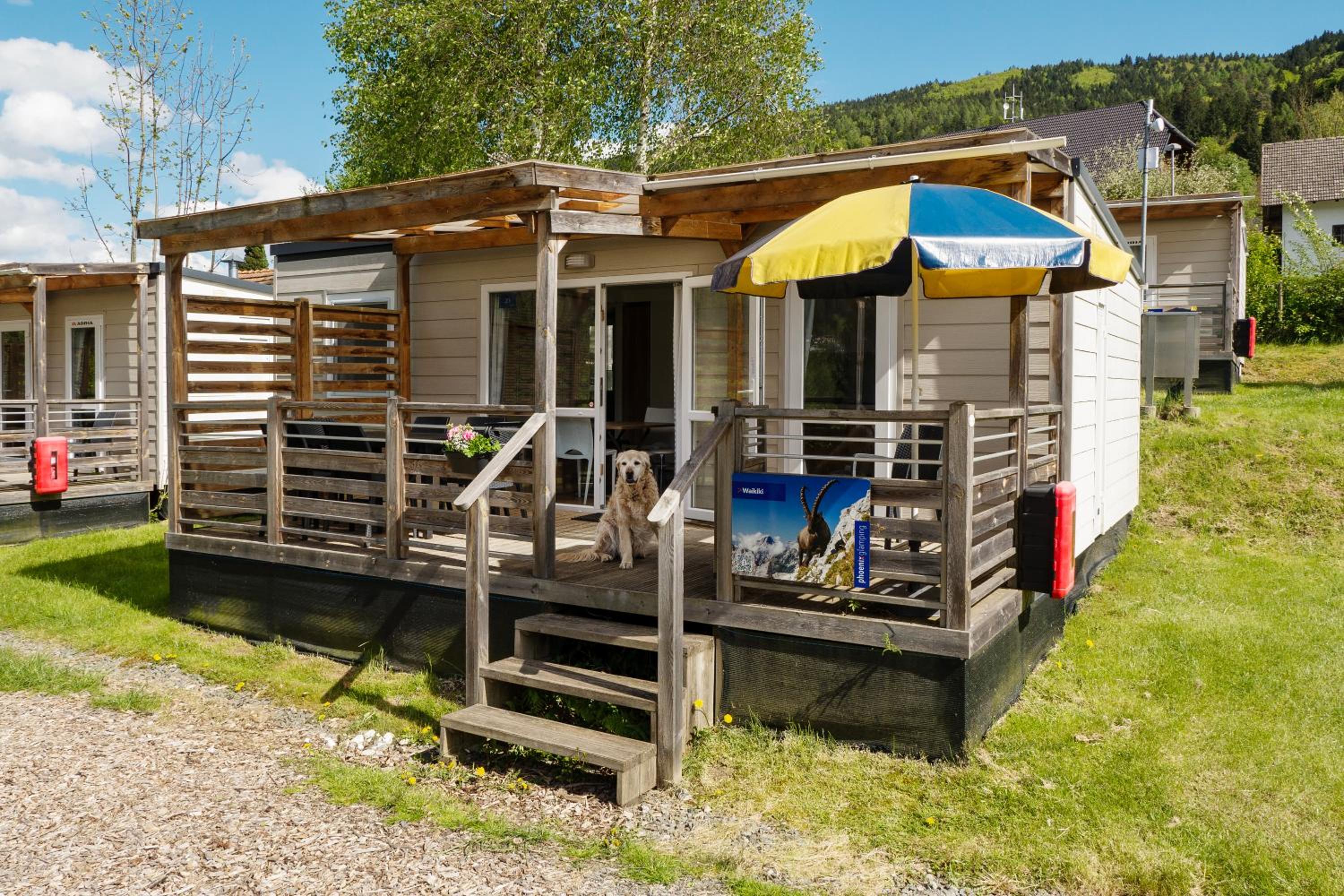 Mobile Home photo 2