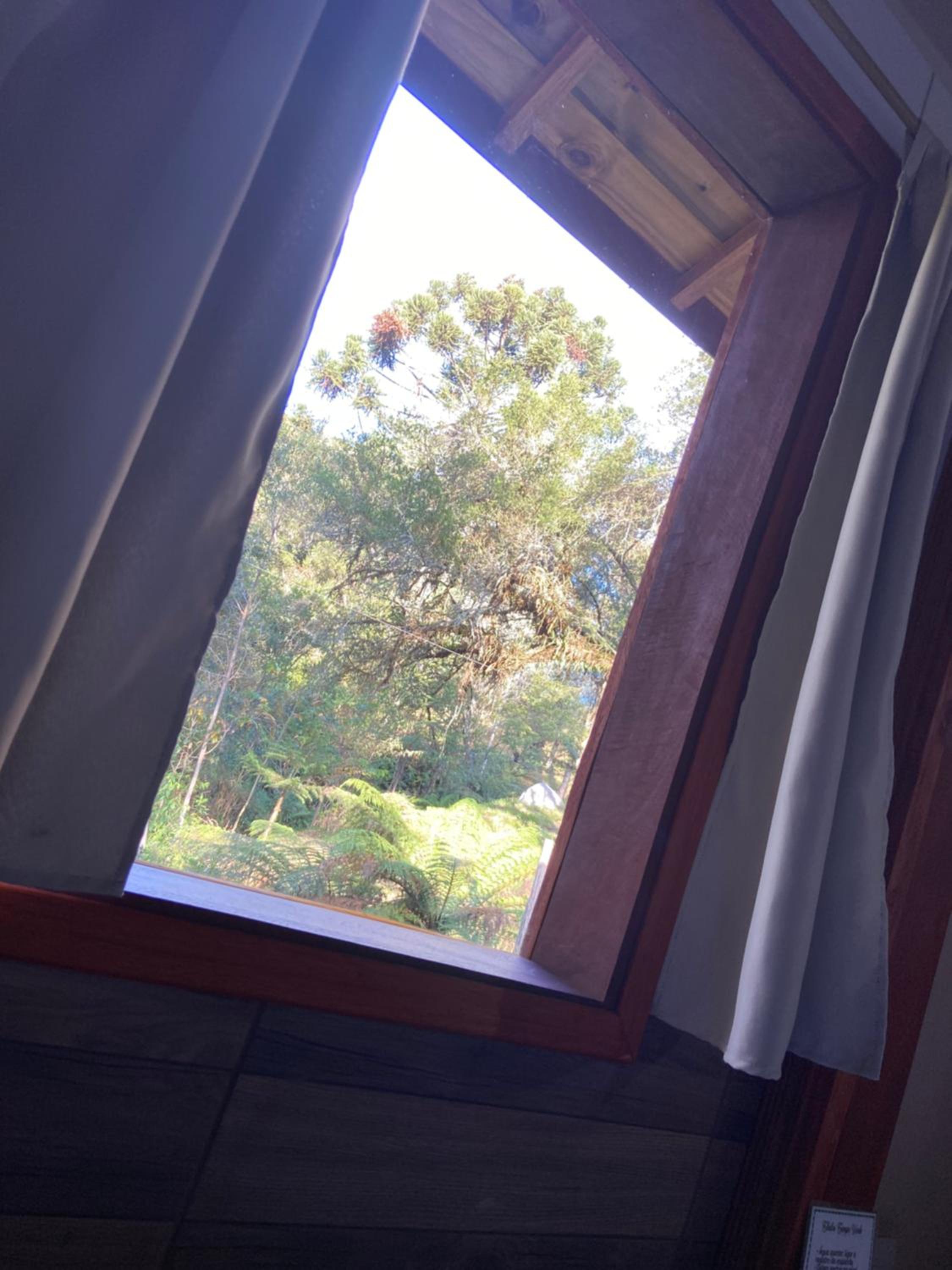 Suite with Hot Tub photo 3