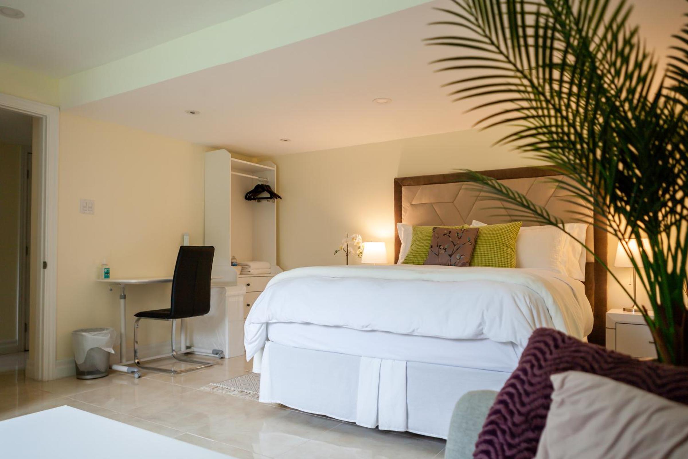 Deluxe Queen Suite - Photo 18