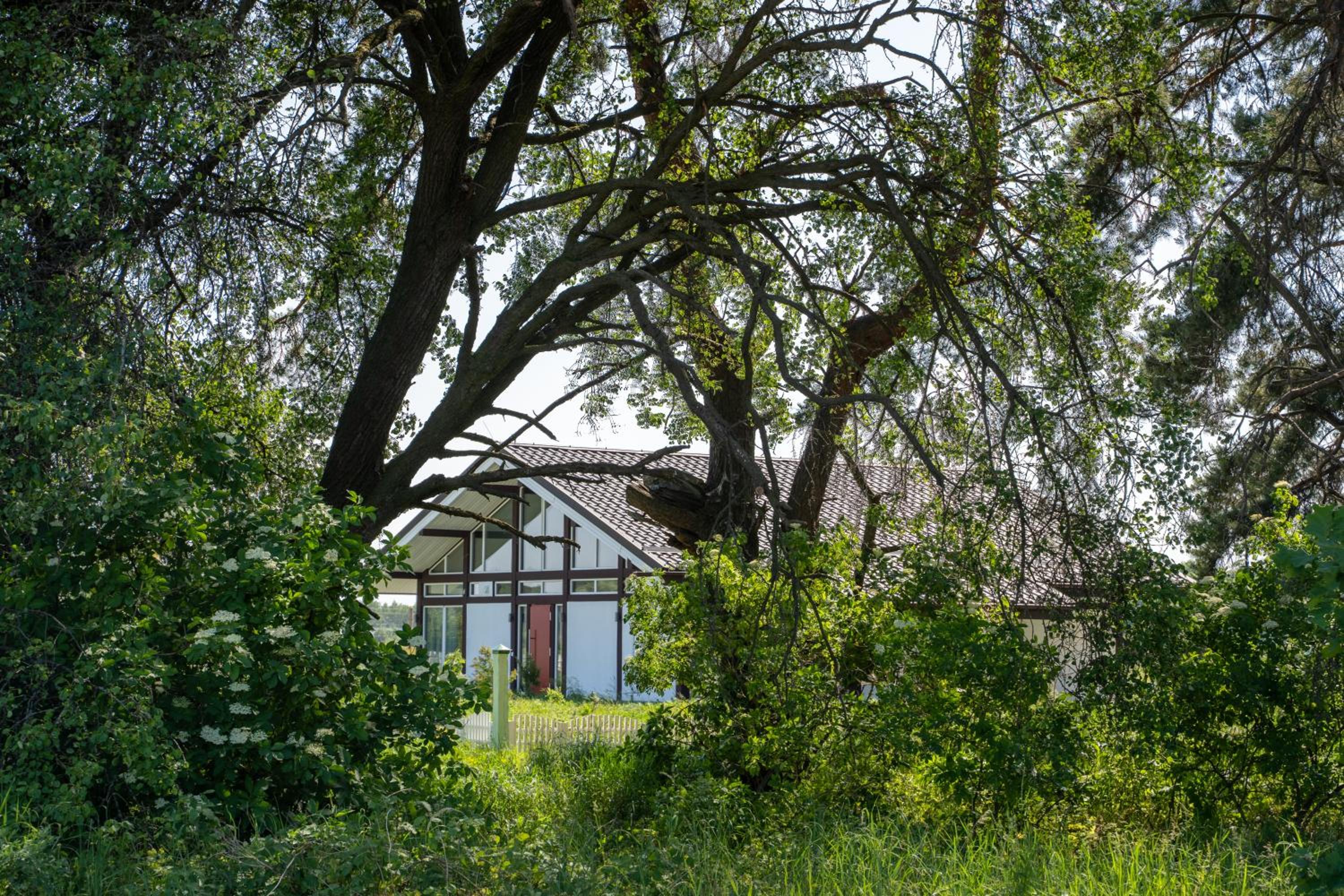 Superior Villa photo 2
