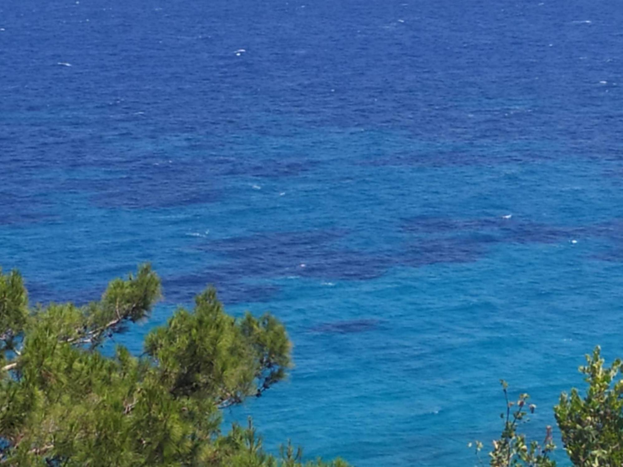 Studio with Sea View photo 3