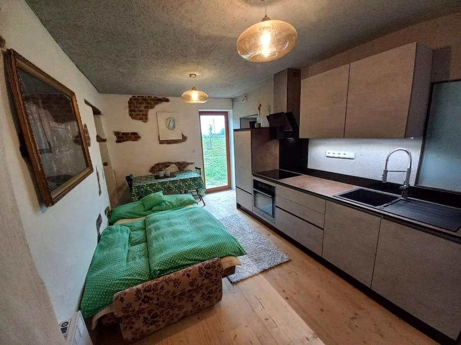 One-Bedroom Apartment photo 3