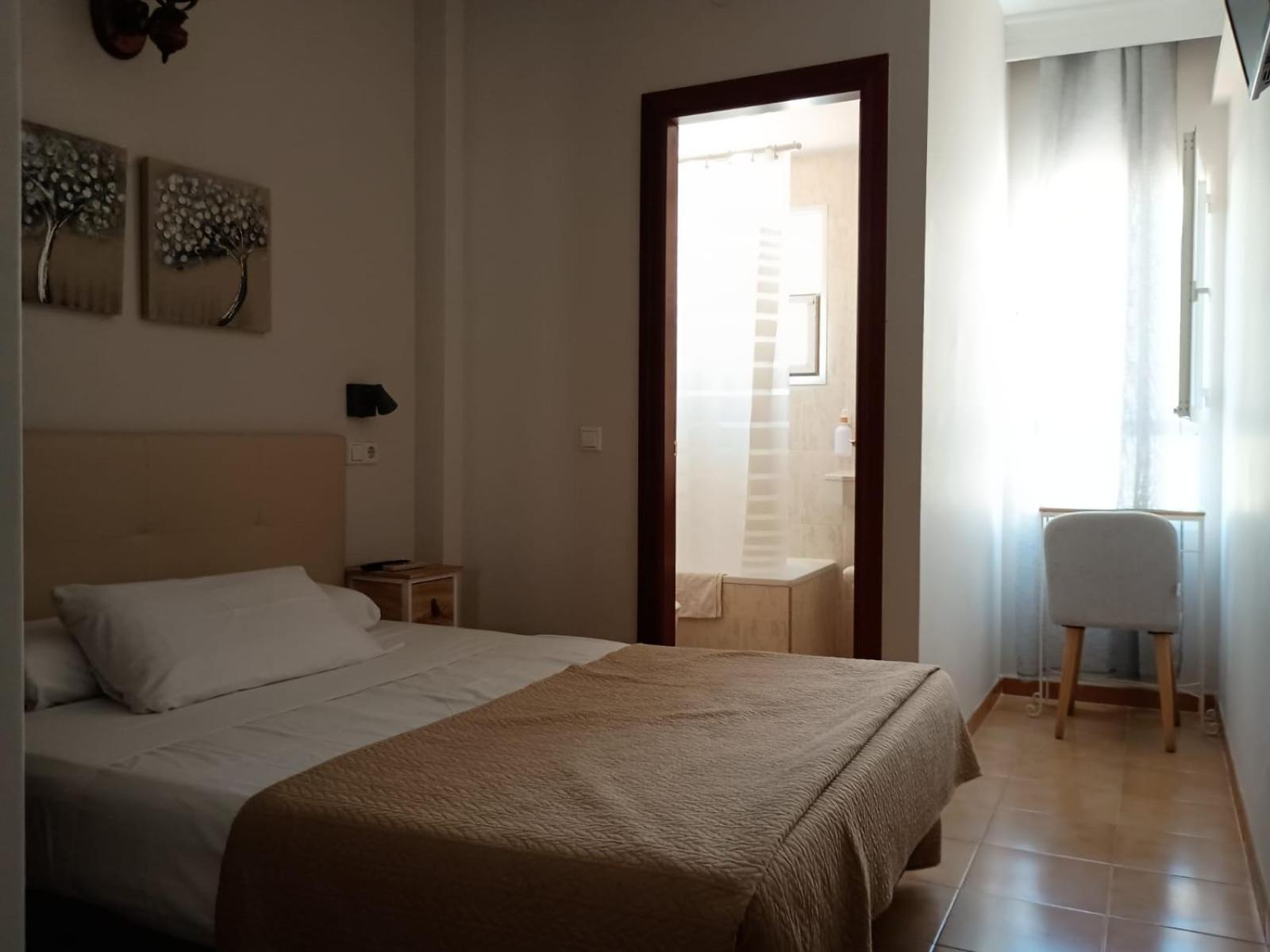 Single Room photo 2