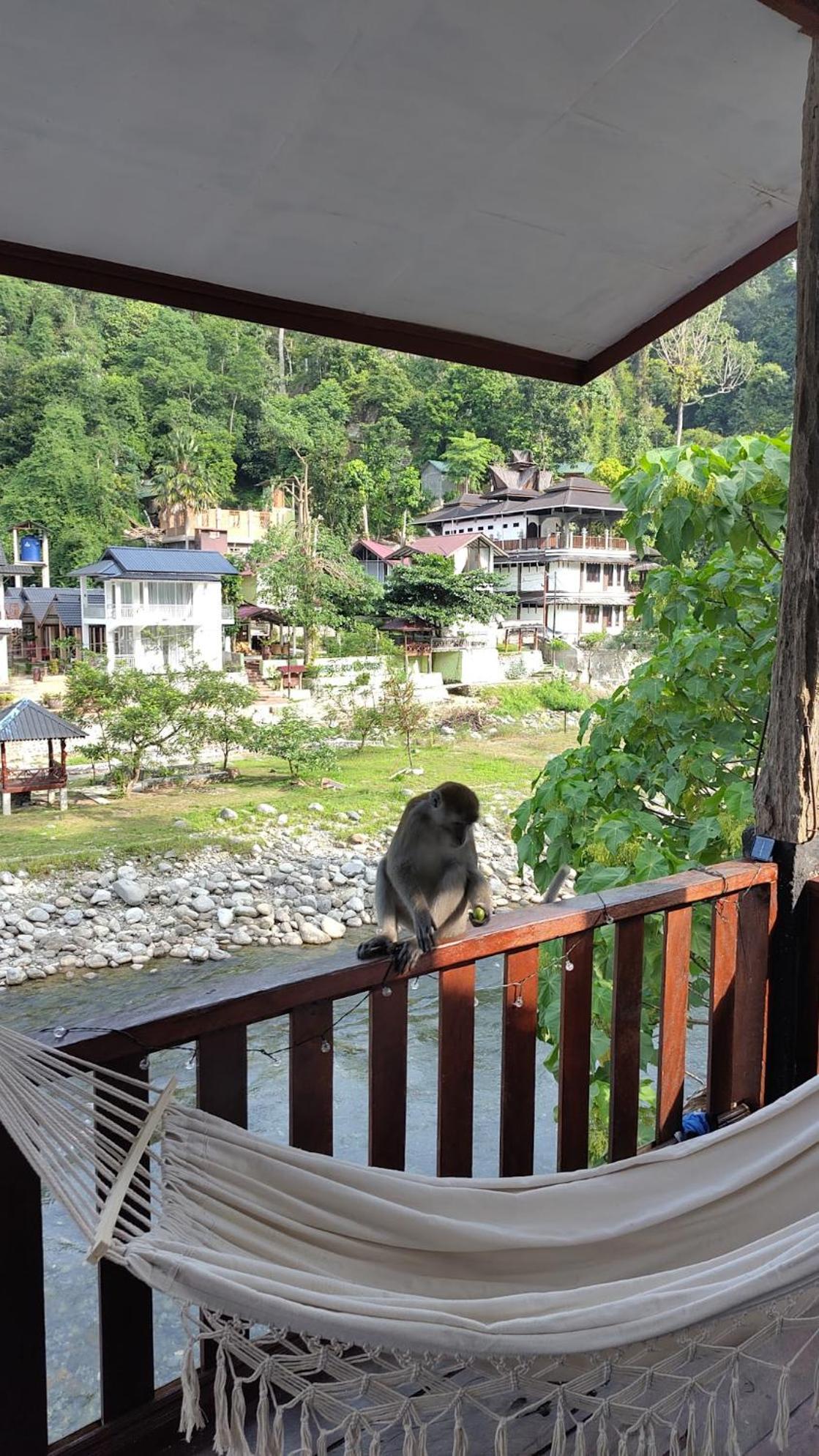Double Room with Balcony photo 2