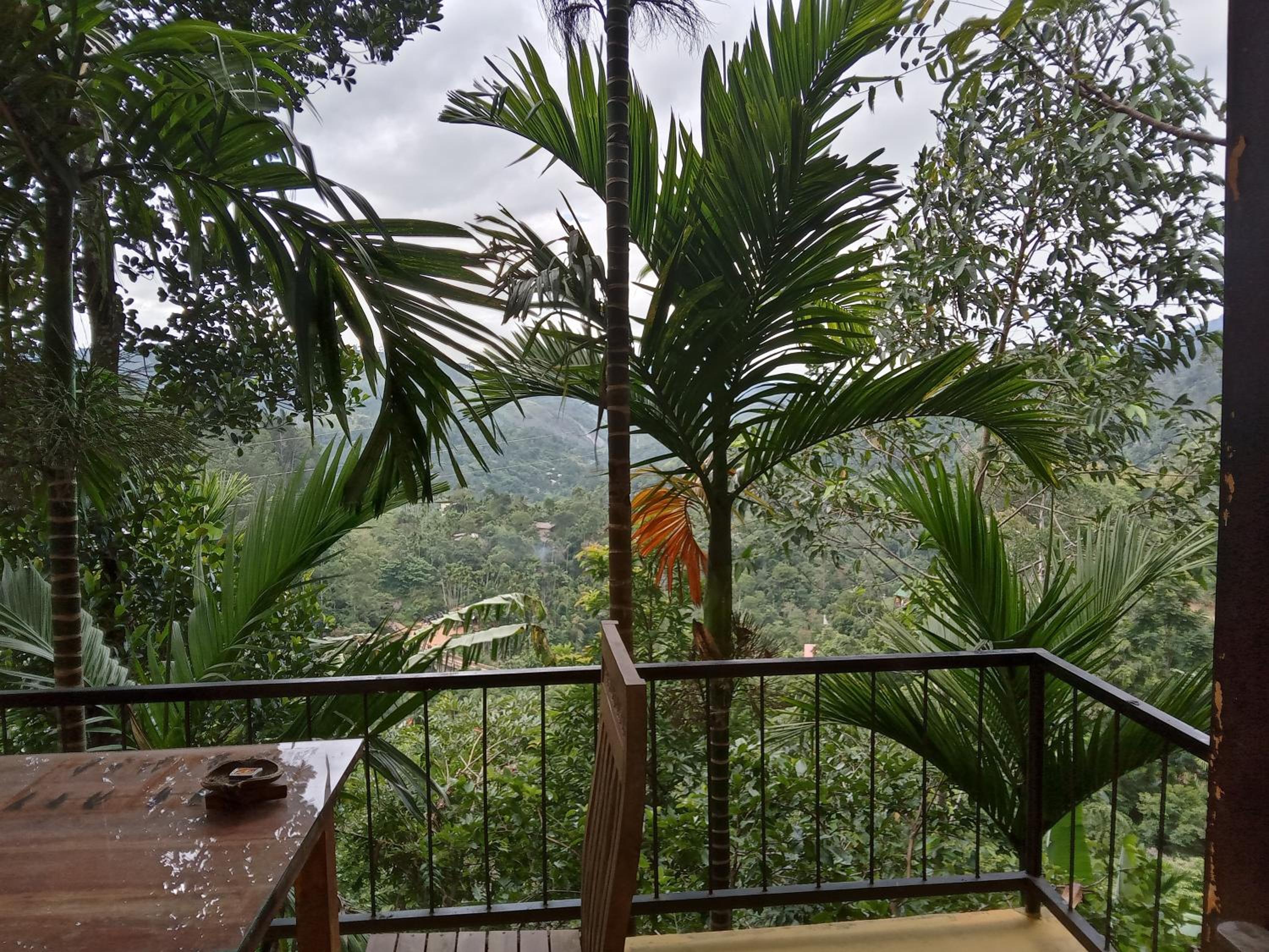 Double Room With Mountain View photo 1