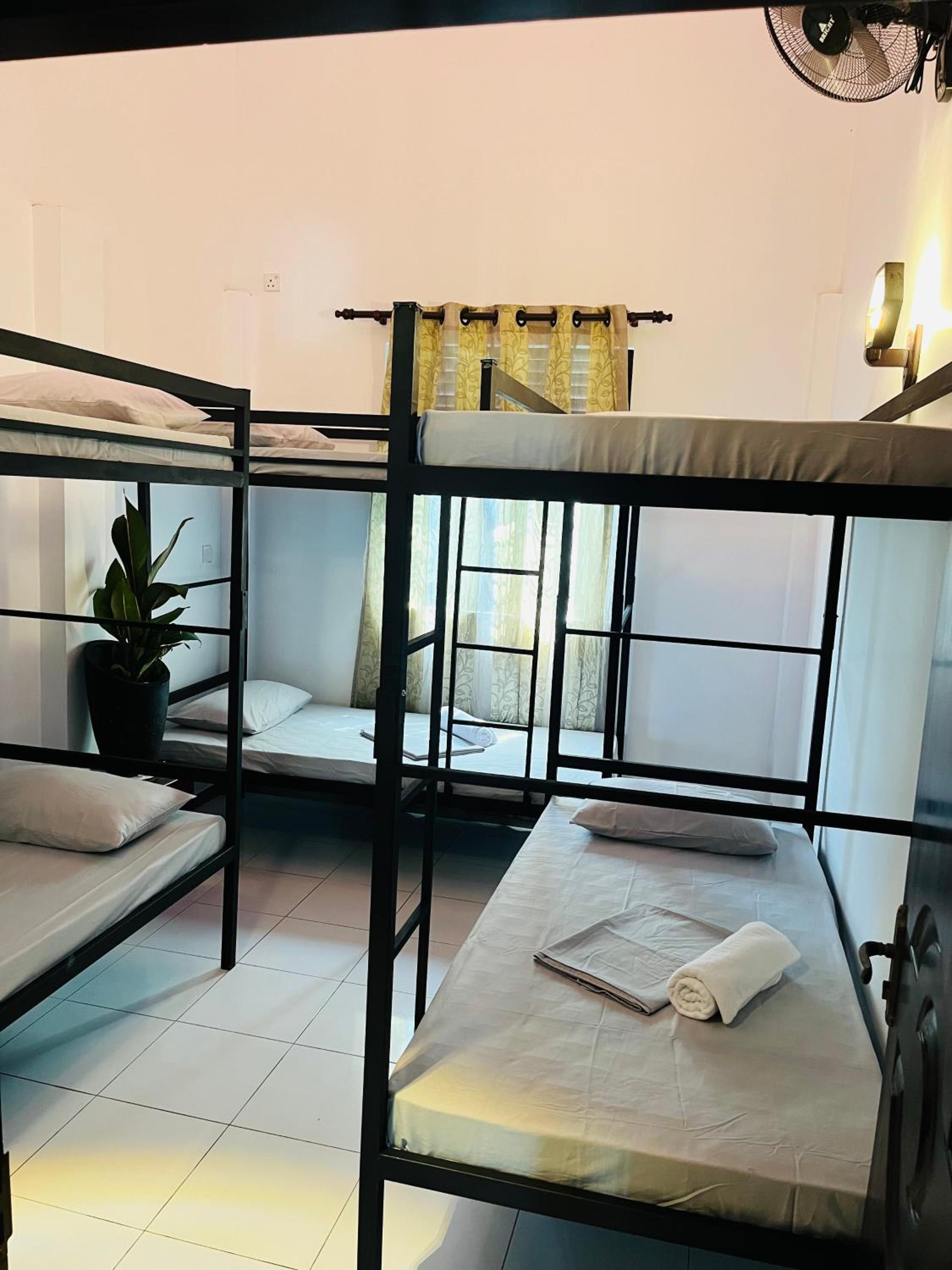 Bed in 6-Bed Mixed Dormitory Room photo 1