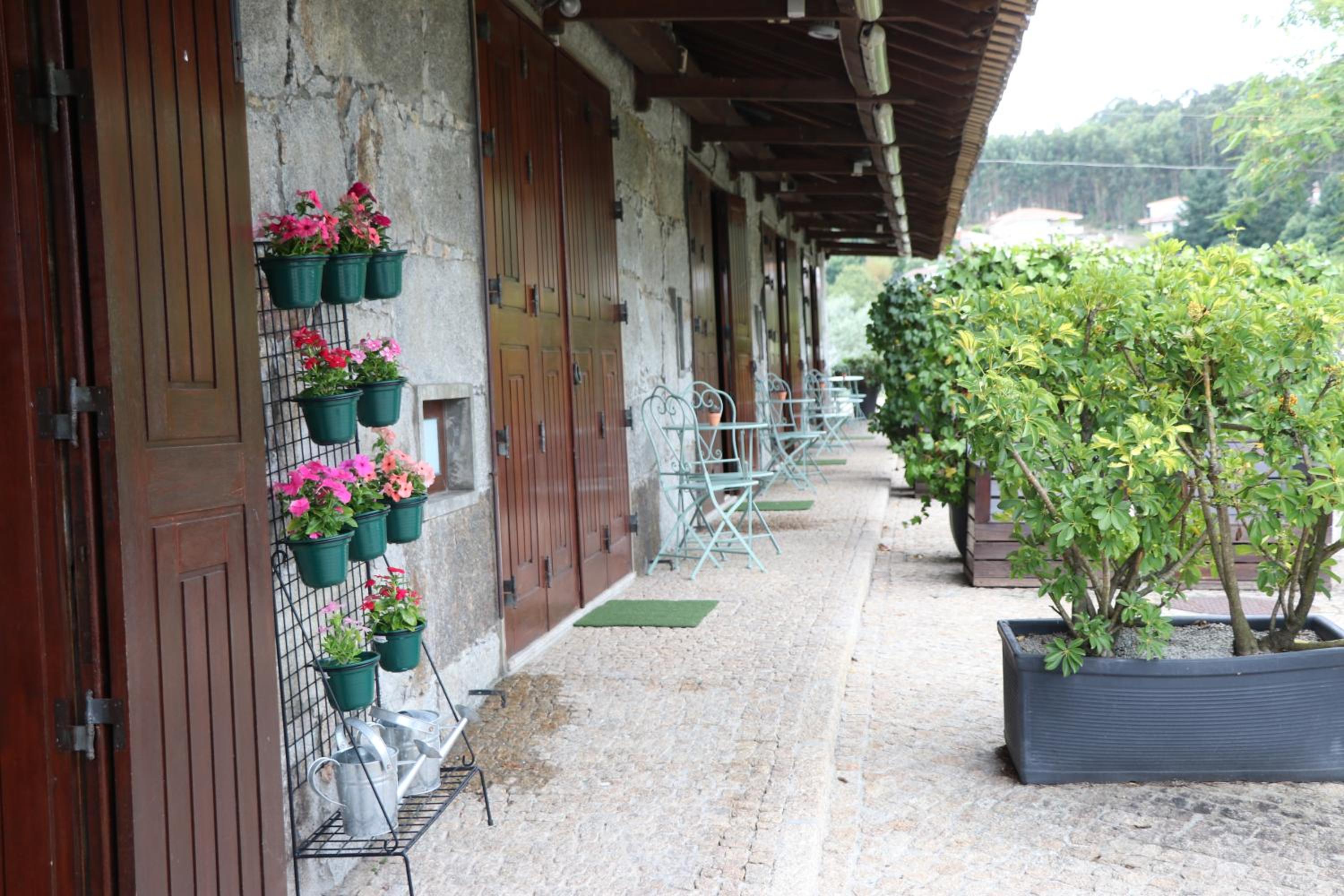 Suite - Photo 28