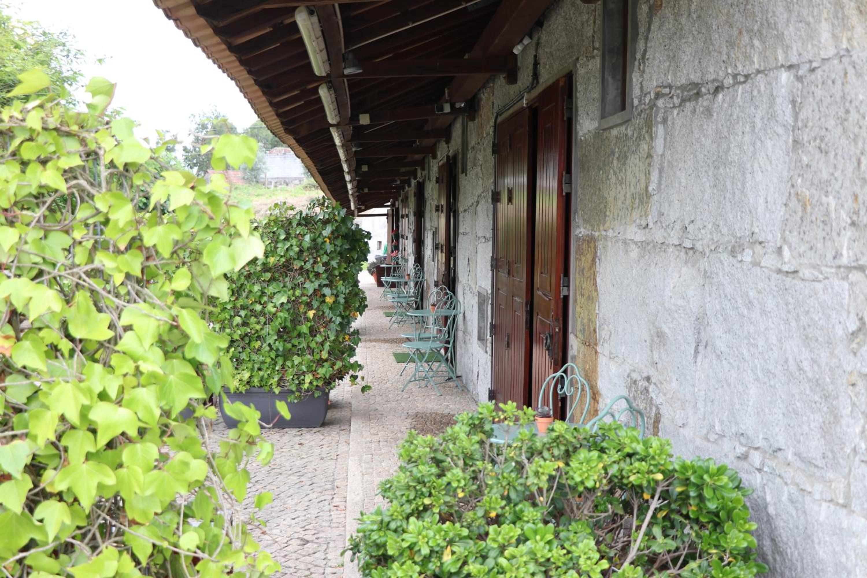Suite - Photo 31