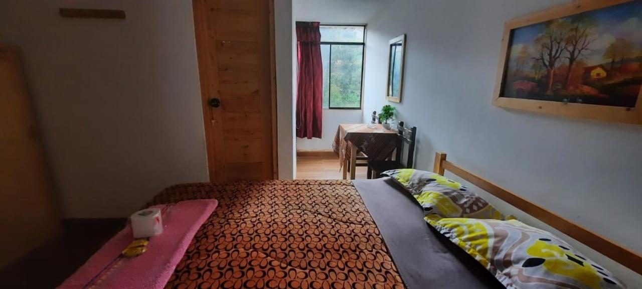 Twin Room photo 3
