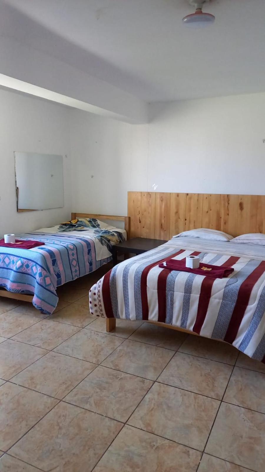 Twin Room photo 2