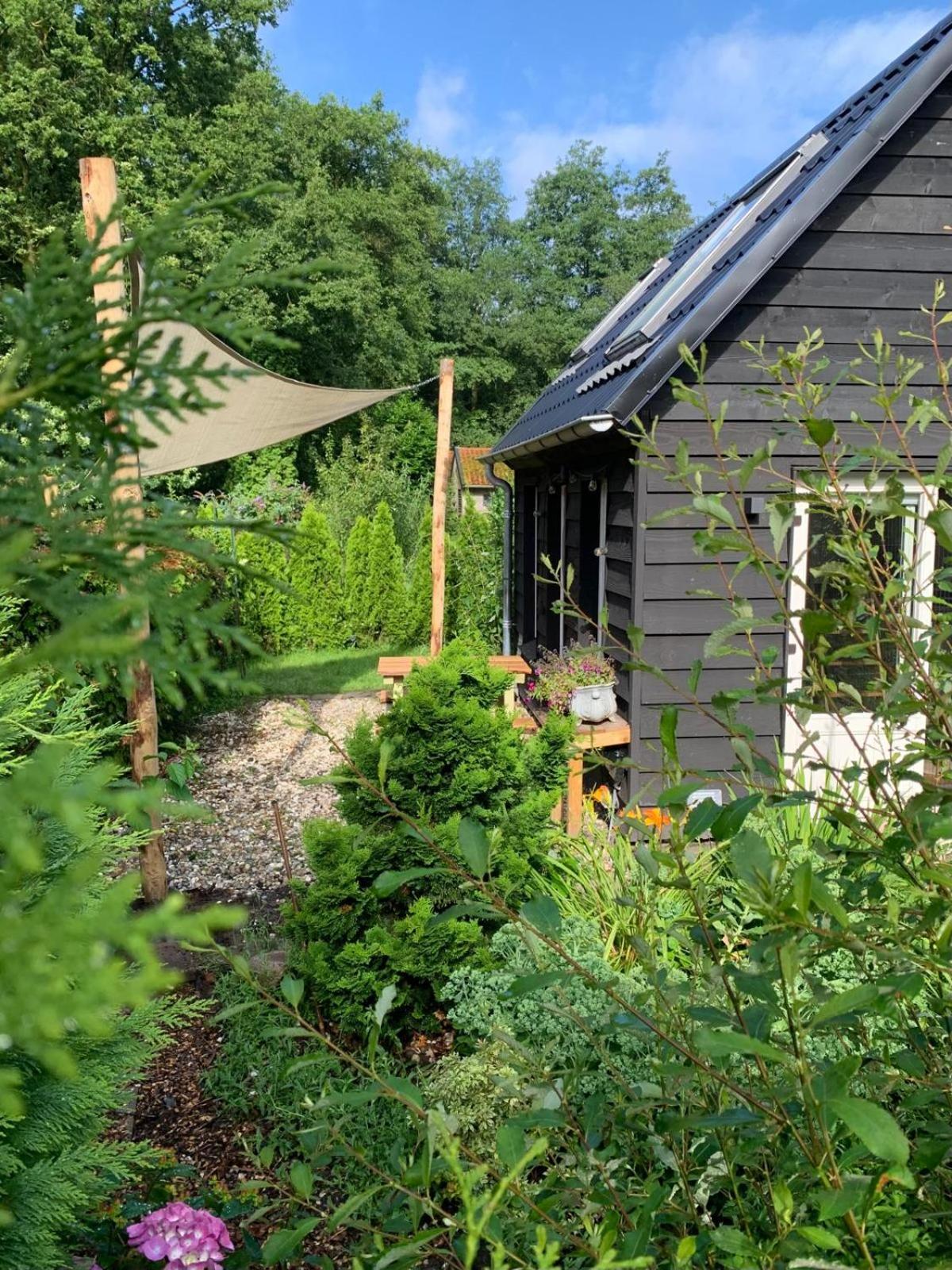 One-Bedroom Chalet photo 3