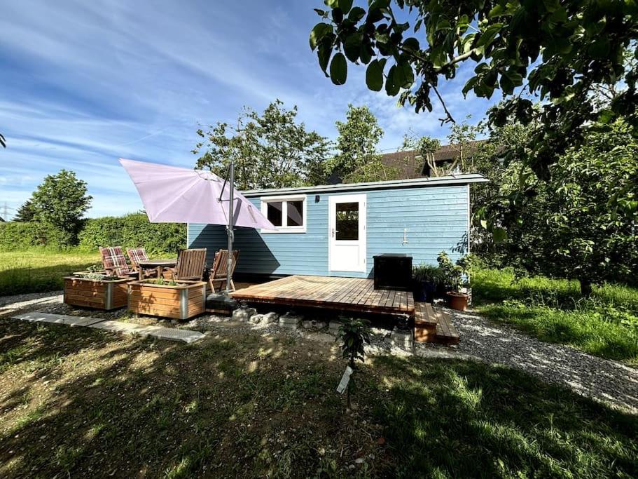 One-Bedroom House photo 2