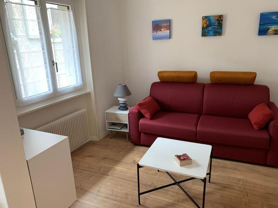 Studio Apartment photo 1