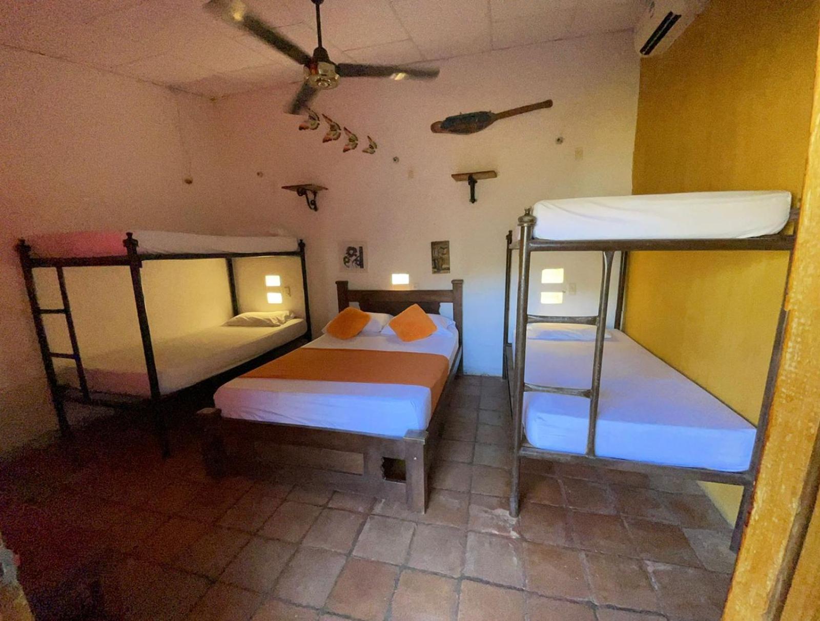 Single Bed in 6-Bed Dormitory Room photo 3