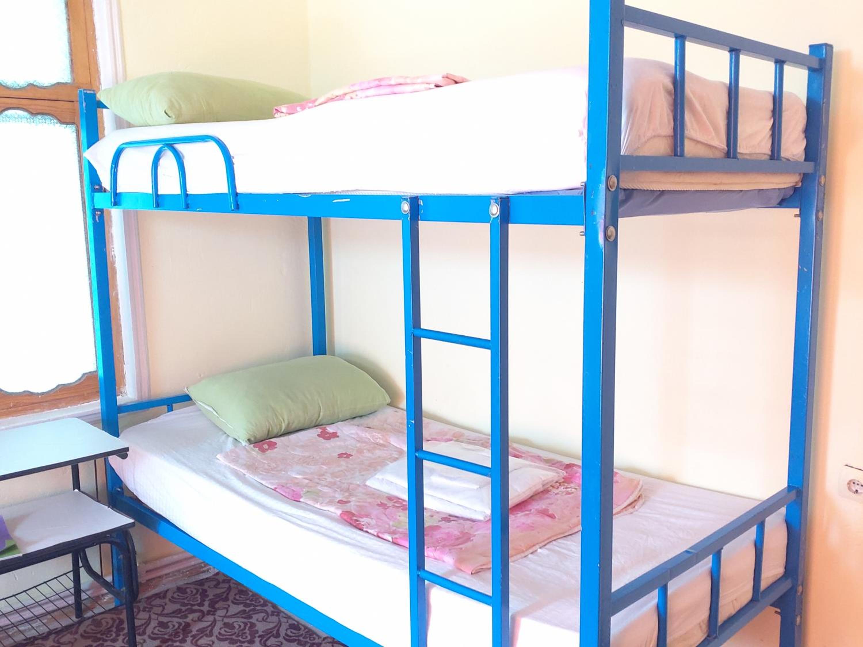 Bunk Bed in Mixed Dormitory Room photo 1