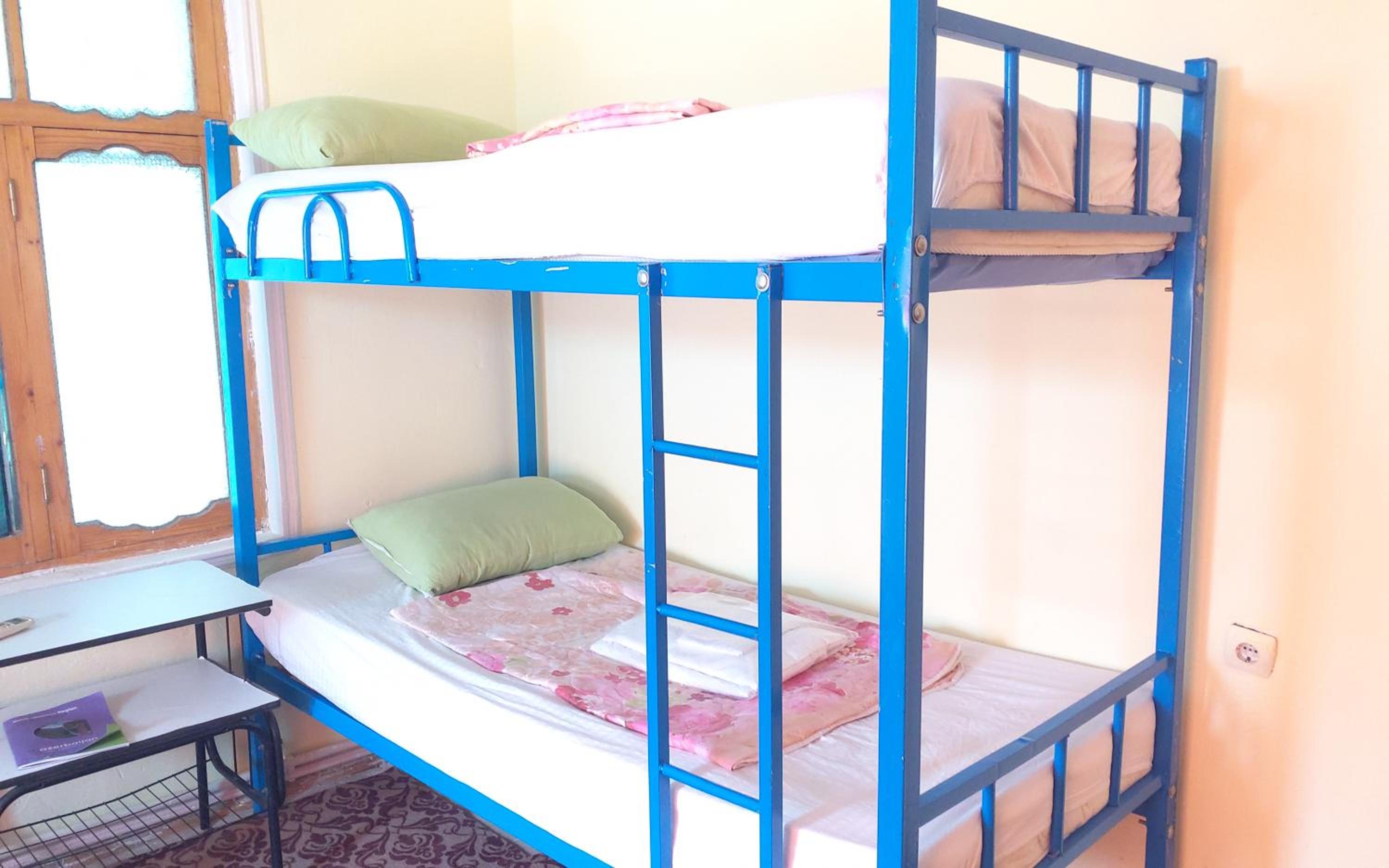 Bunk Bed in Mixed Dormitory Room photo 3
