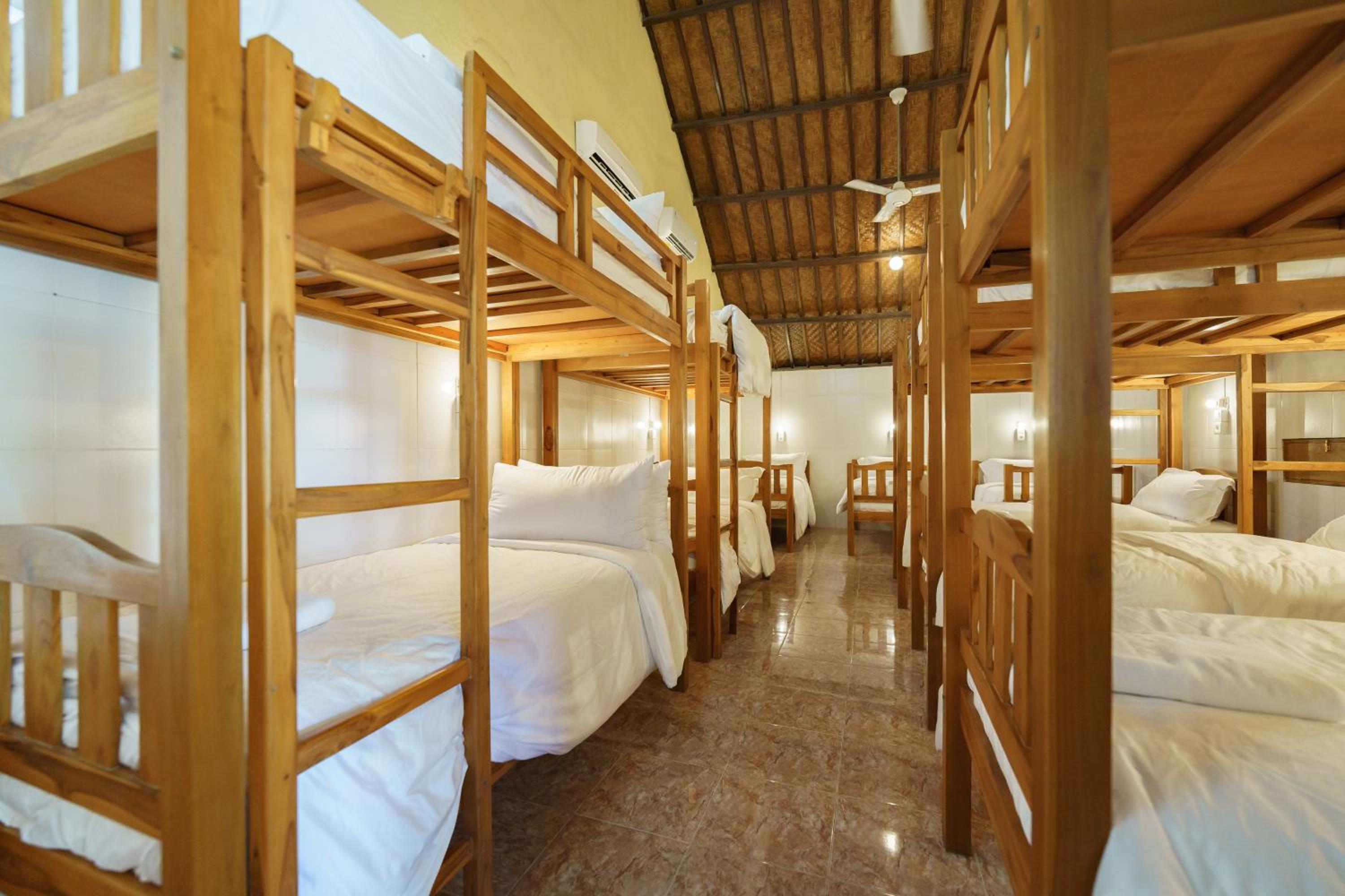 Bunk Bed in Mixed Dormitory Room photo 1
