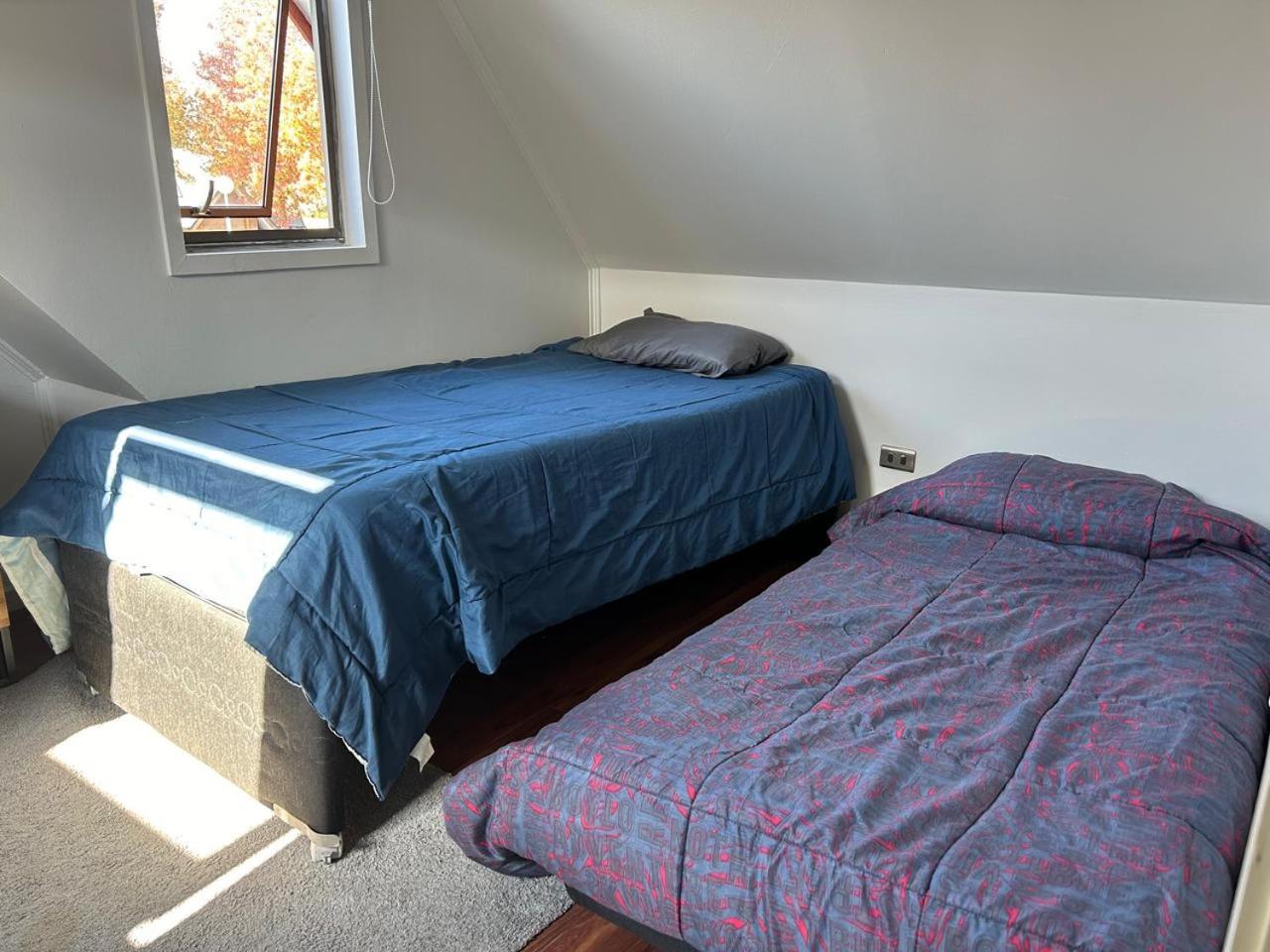 Twin Room photo 3