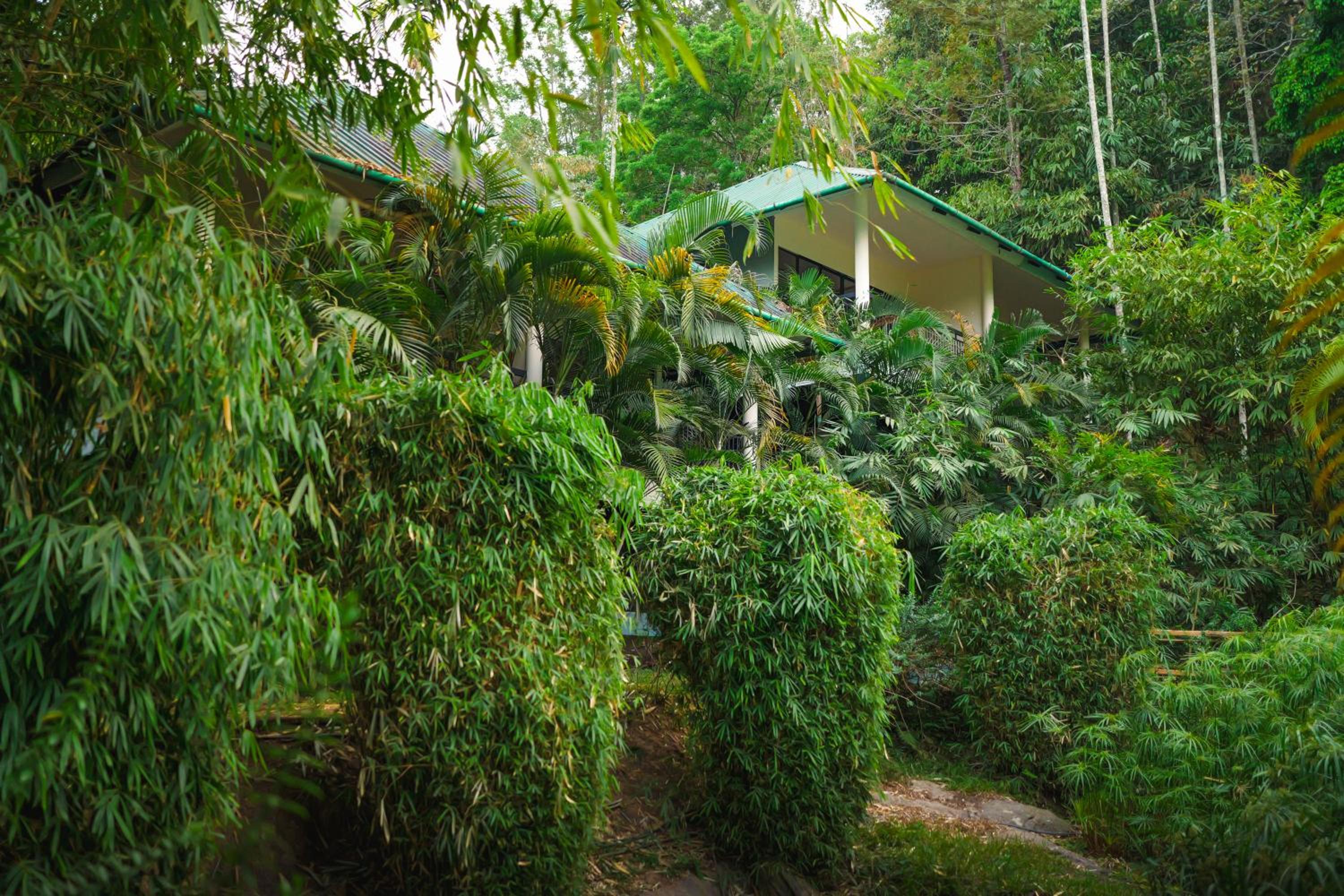 Woods Cottage - Photo 17