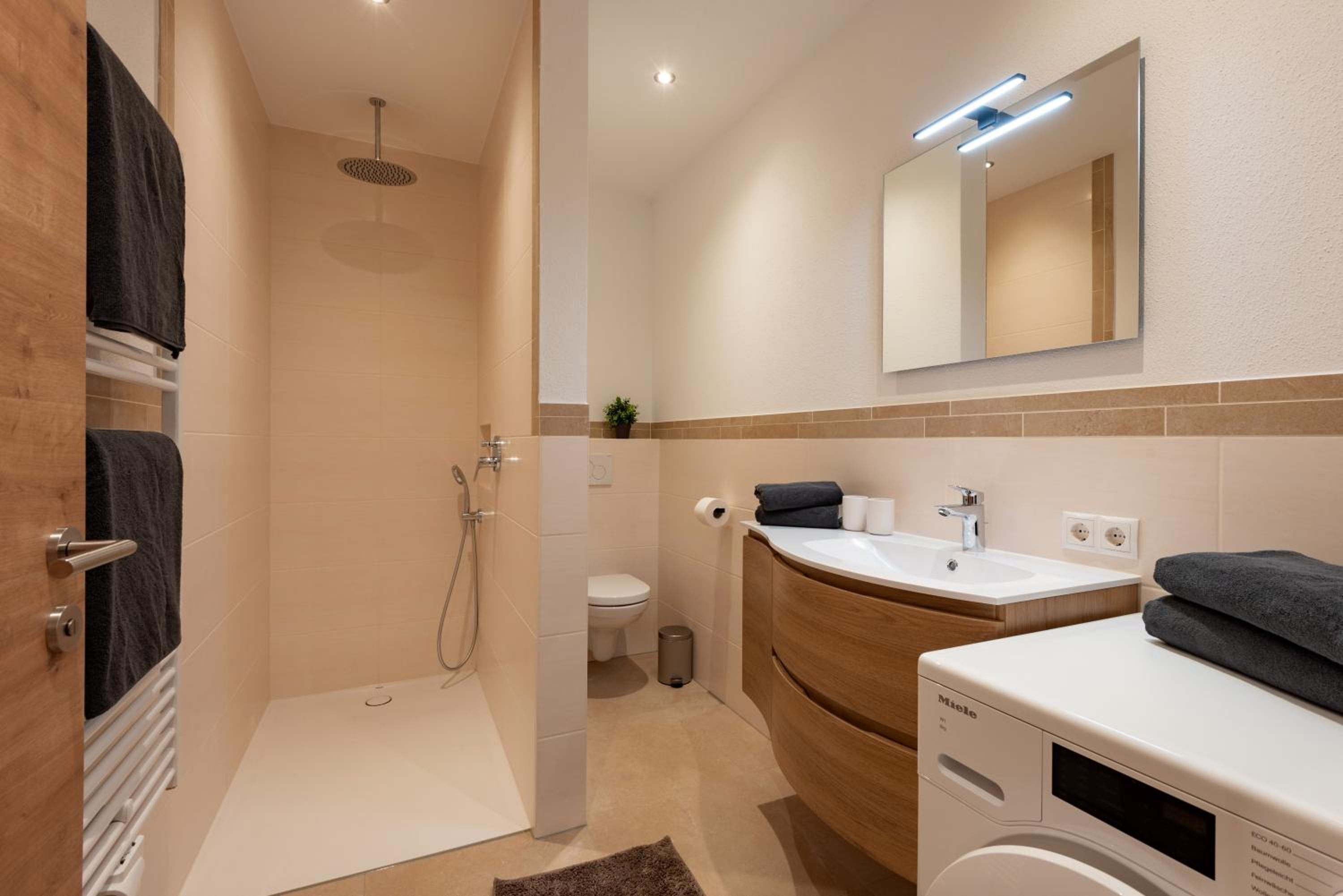 Apartment with Shower photo 3