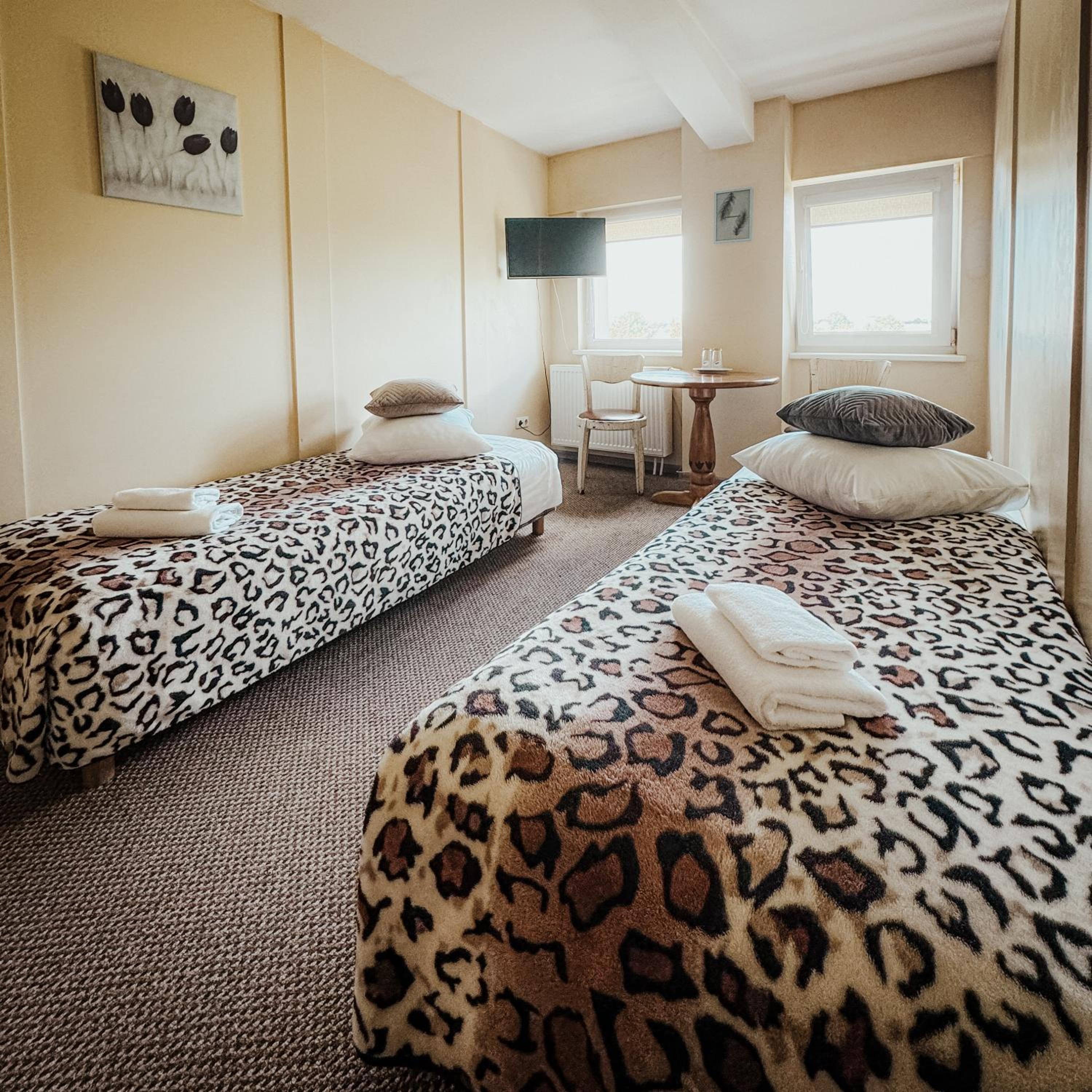 Twin Room - Photo 5