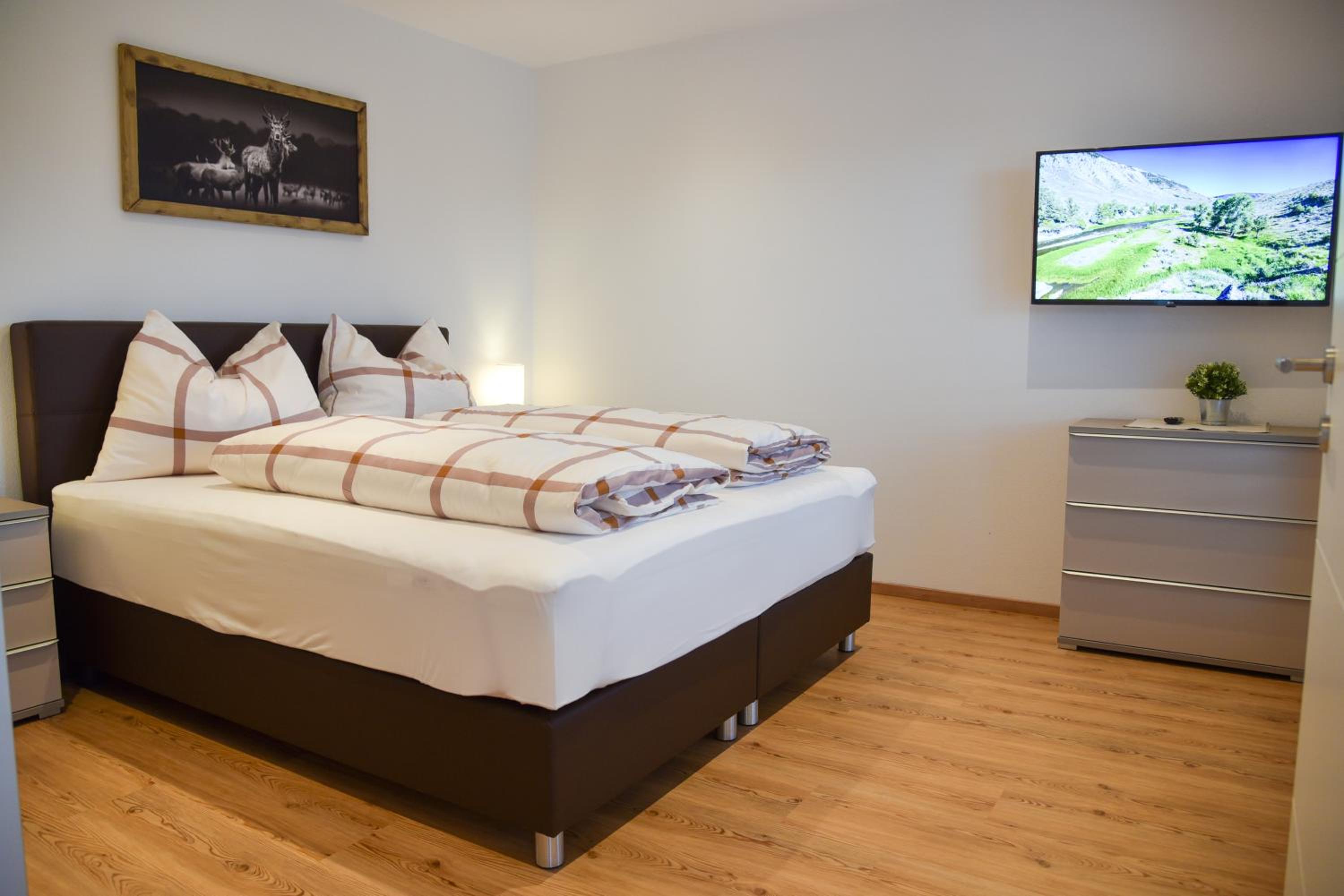 One-Bedroom Apartment with Balcony and Mountain View   photo 2