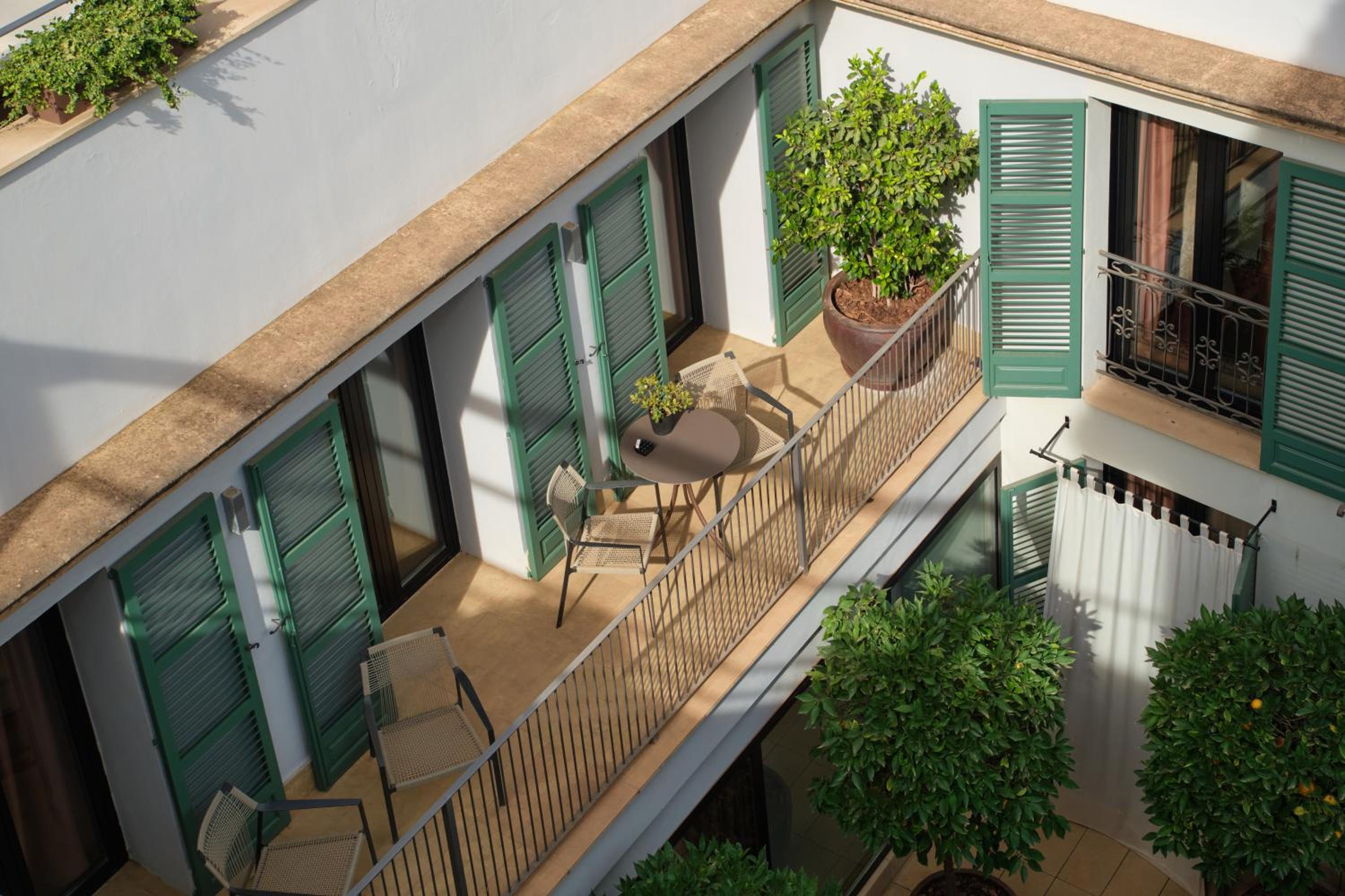Suite con Vista al Patio