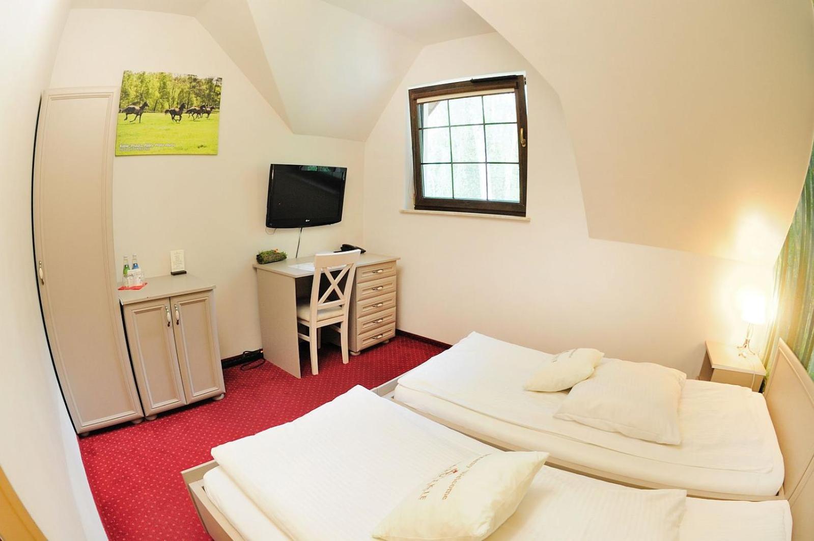 Comfort Room - Photo 5