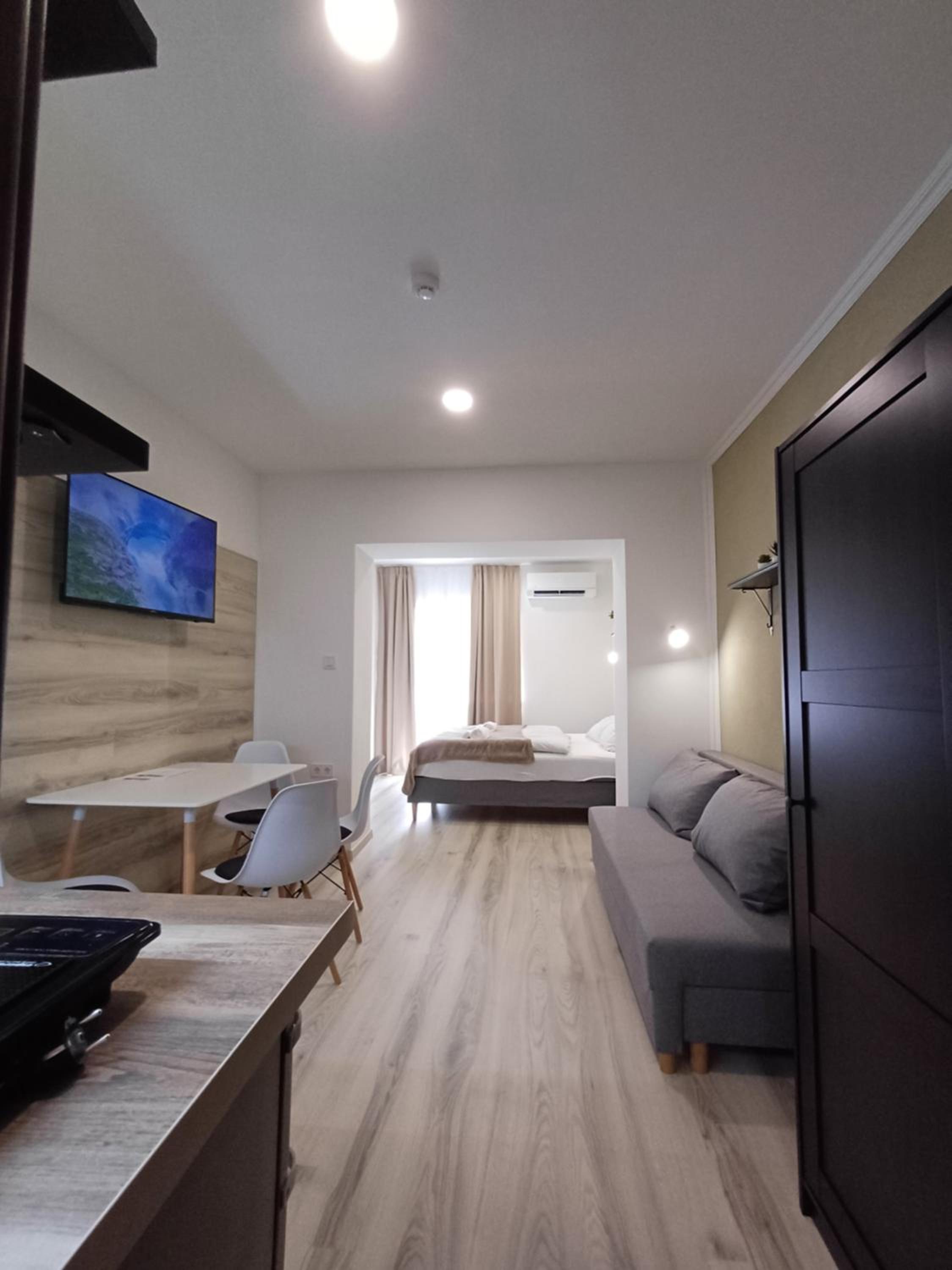 One-Bedroom Premium Apartment photo 2
