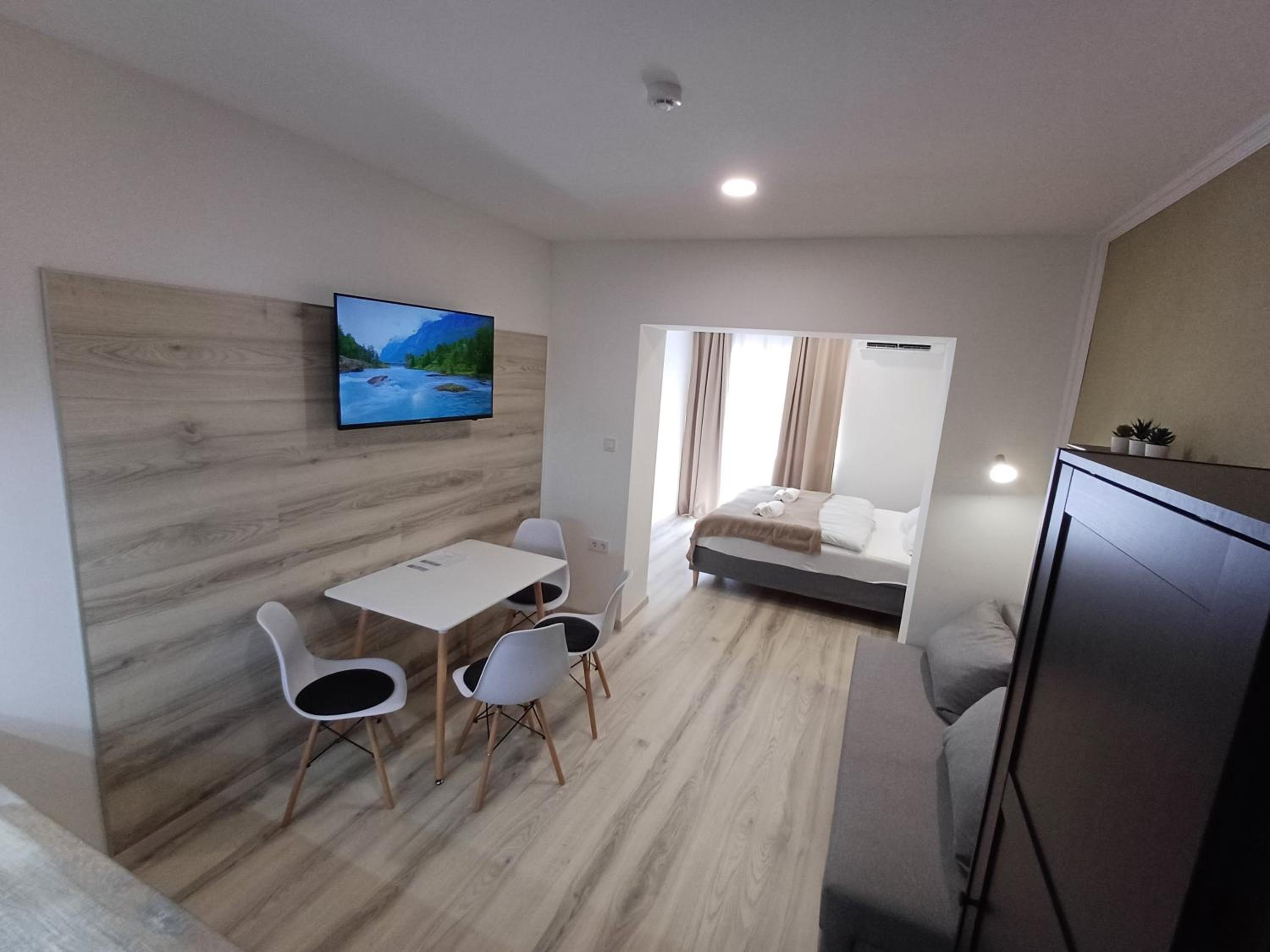 One-Bedroom Premium Apartment photo 3