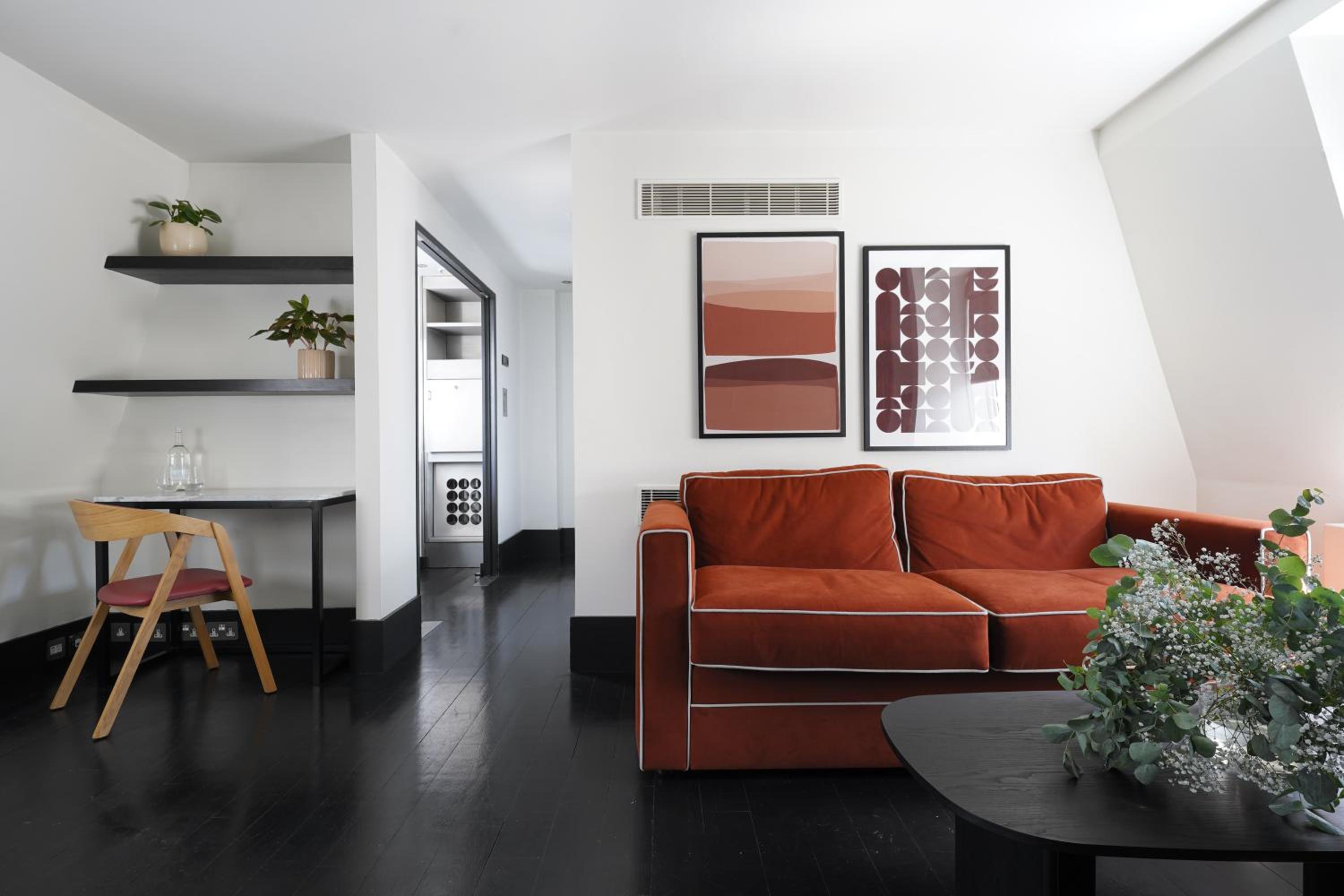 Extra Large Studio Sofa Bed and Shared Terrace photo 3