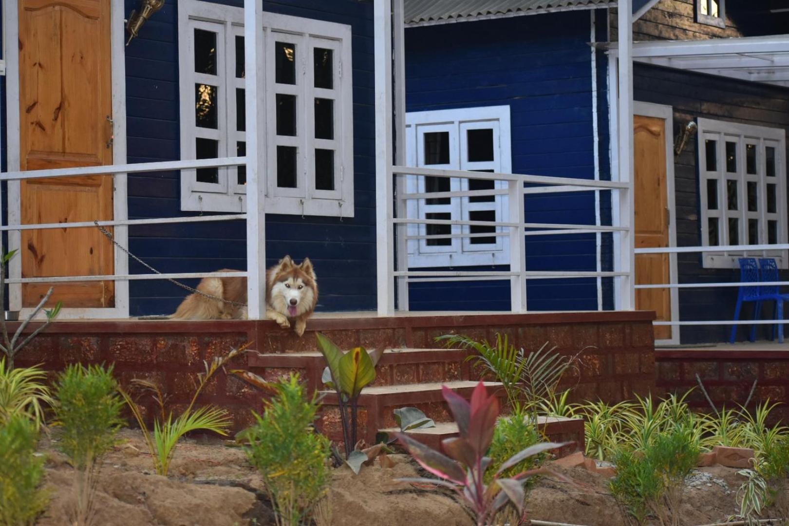 Double Room With Garden View photo 3
