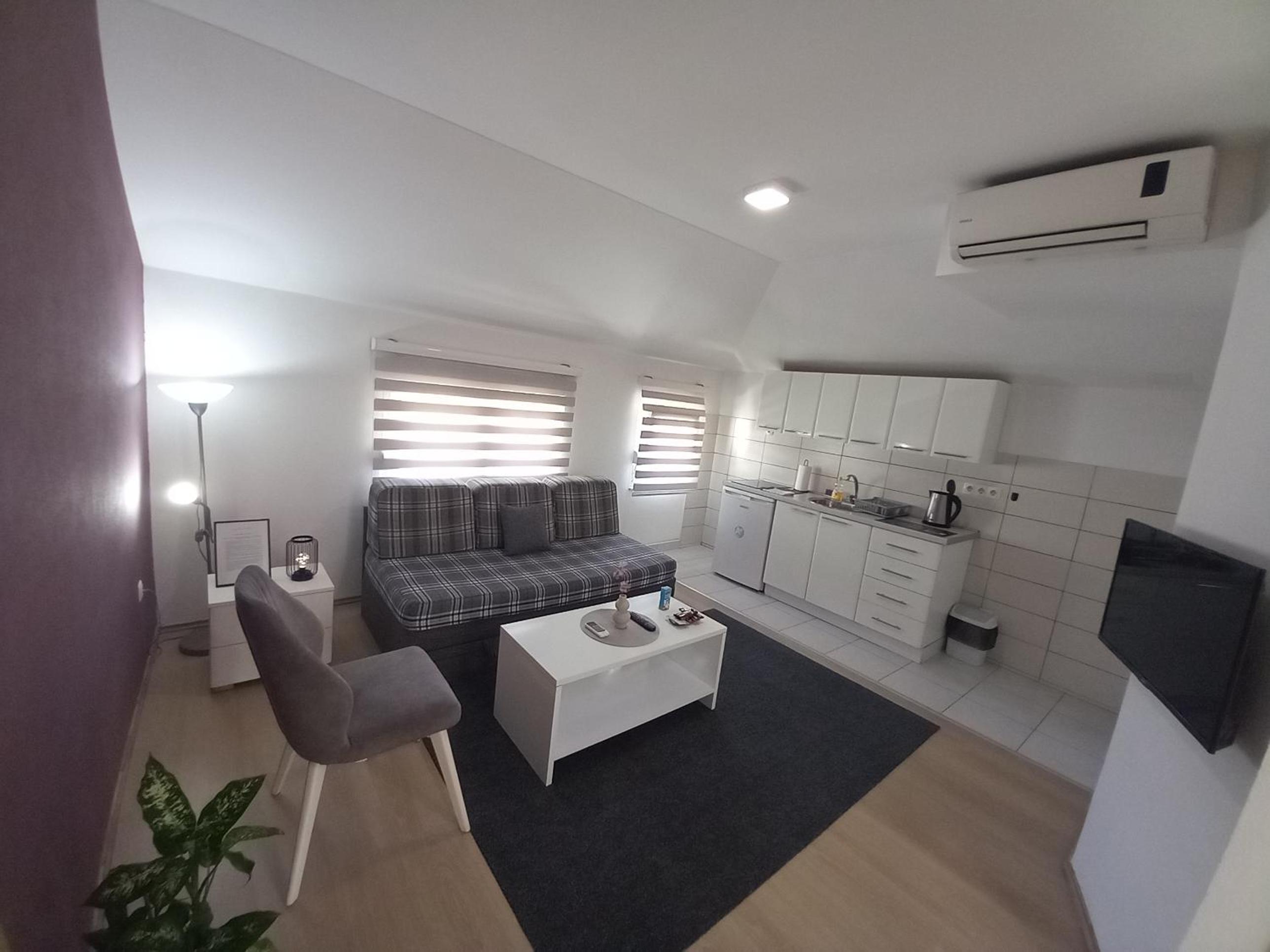 One-Bedroom Apartment photo 3