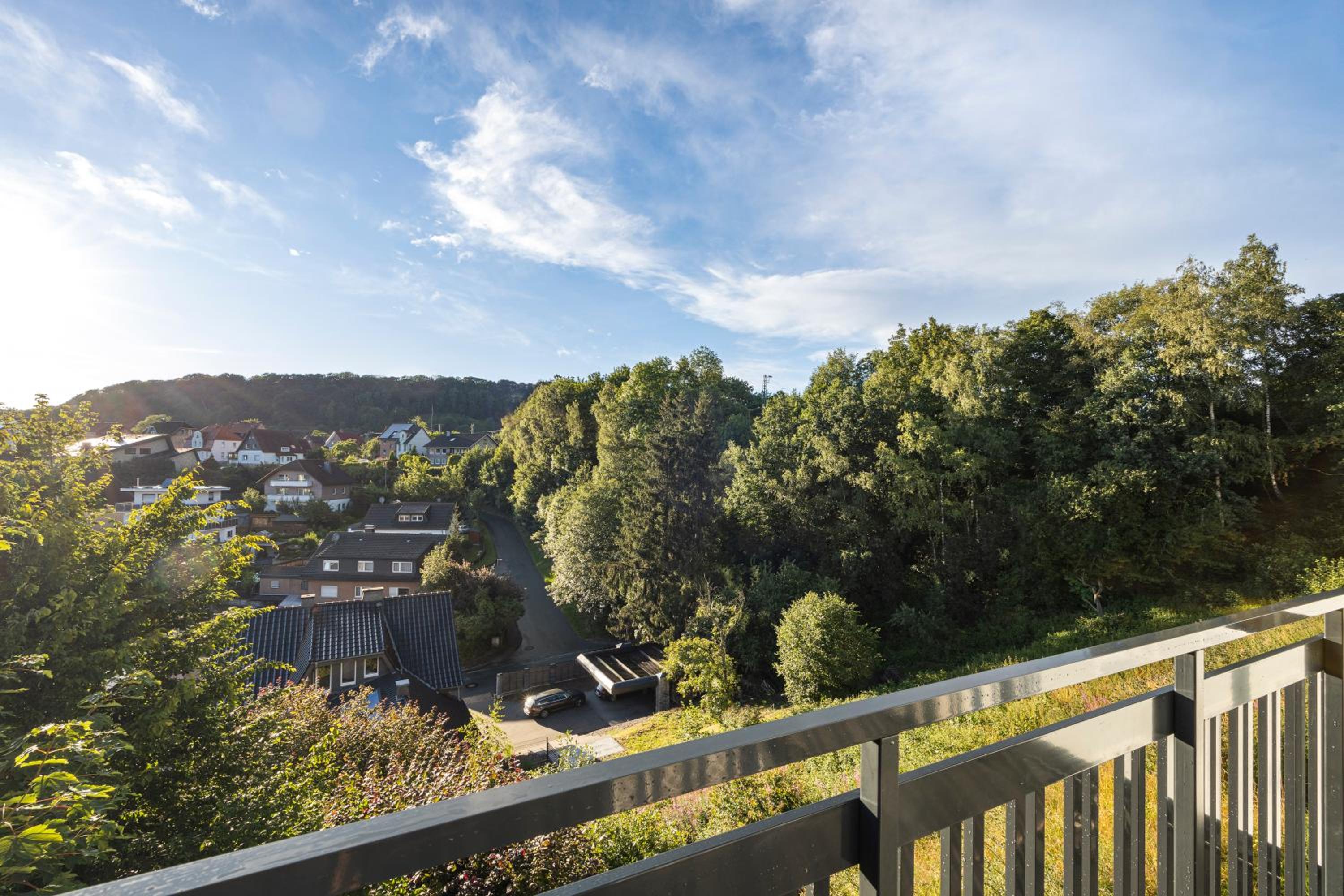 Superior One-Bedroom Apartment with Balcony photo 3