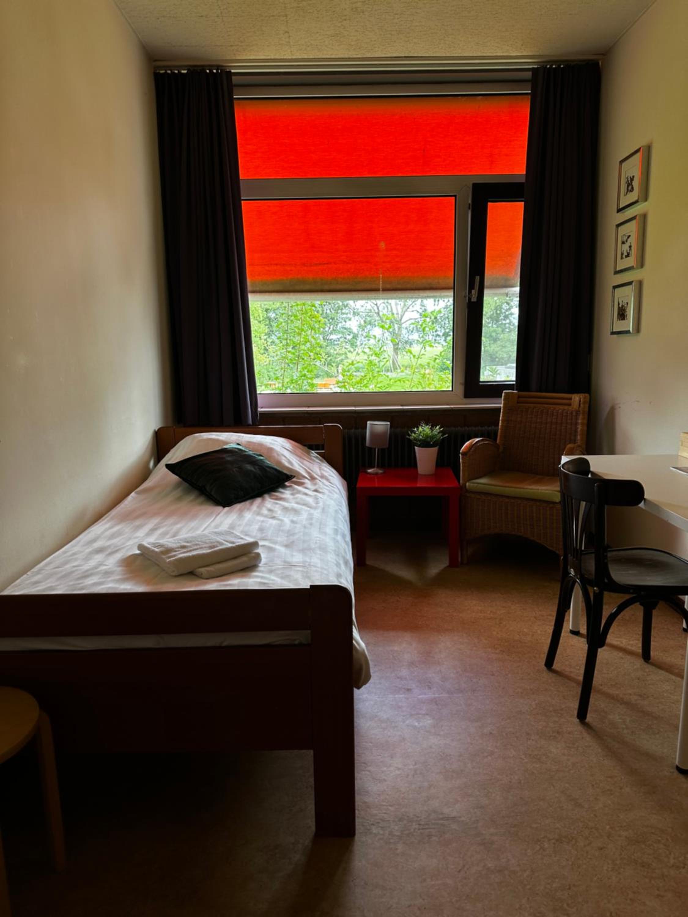 Budget Single Room photo 2