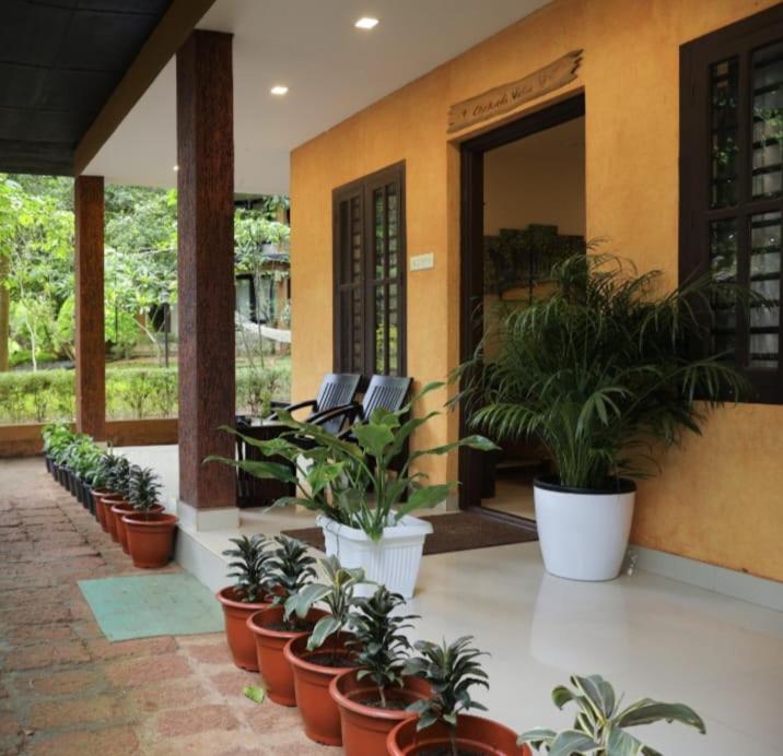 Three-Bedroom Villa photo 3