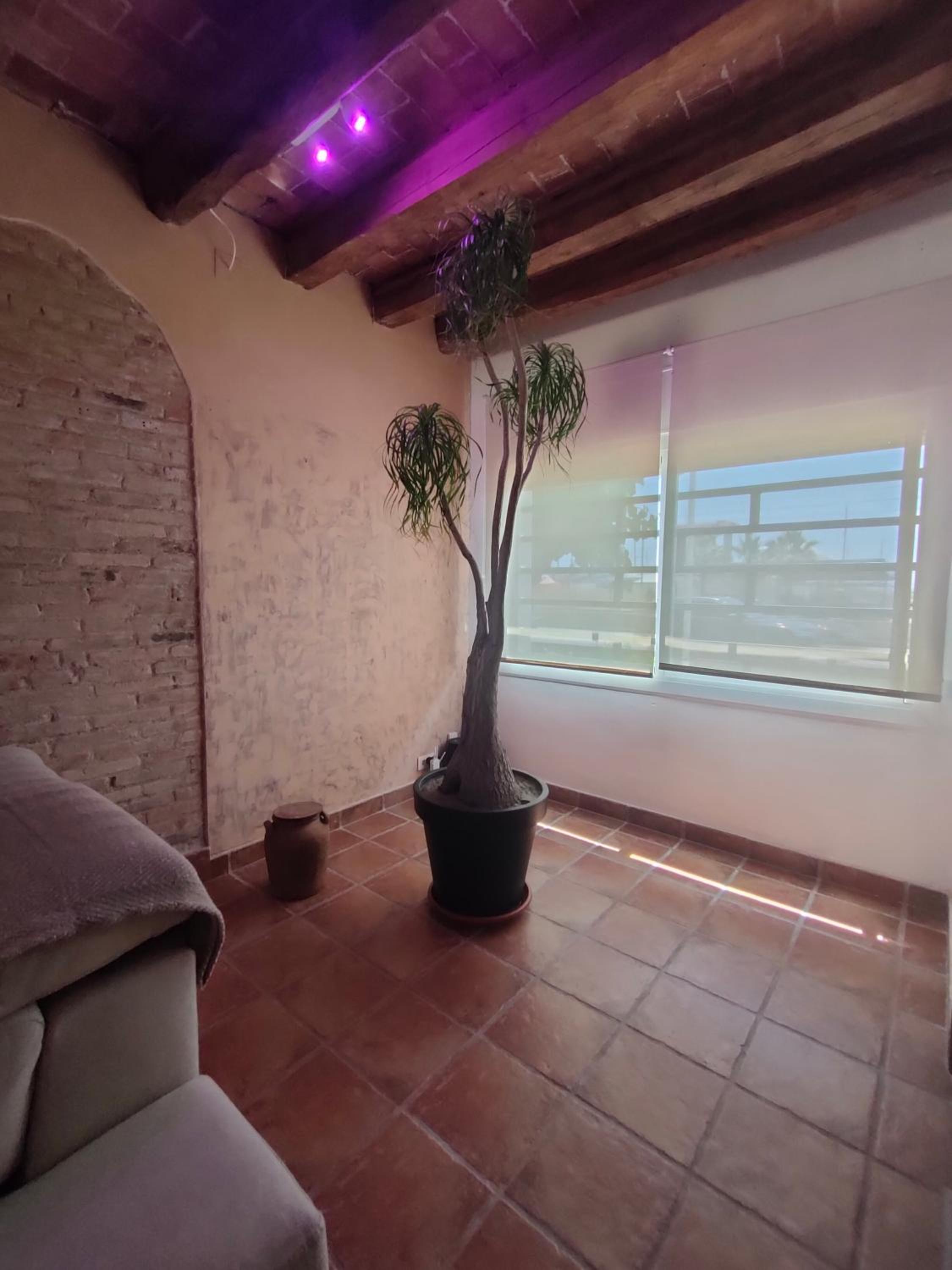 Apartamento de una habitación con vista al jardín