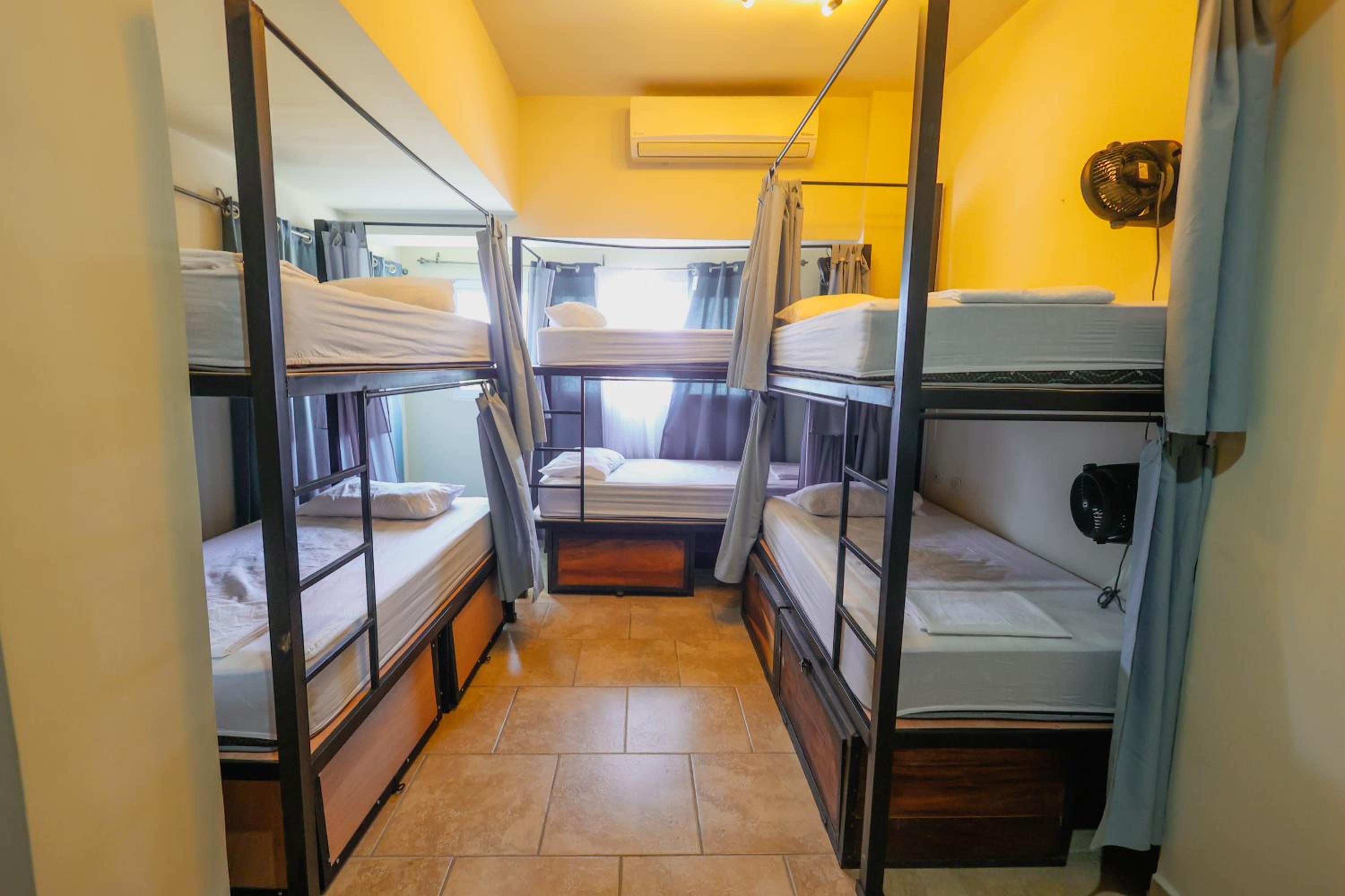 Bed in 4-Bed Dormitory Room photo 1