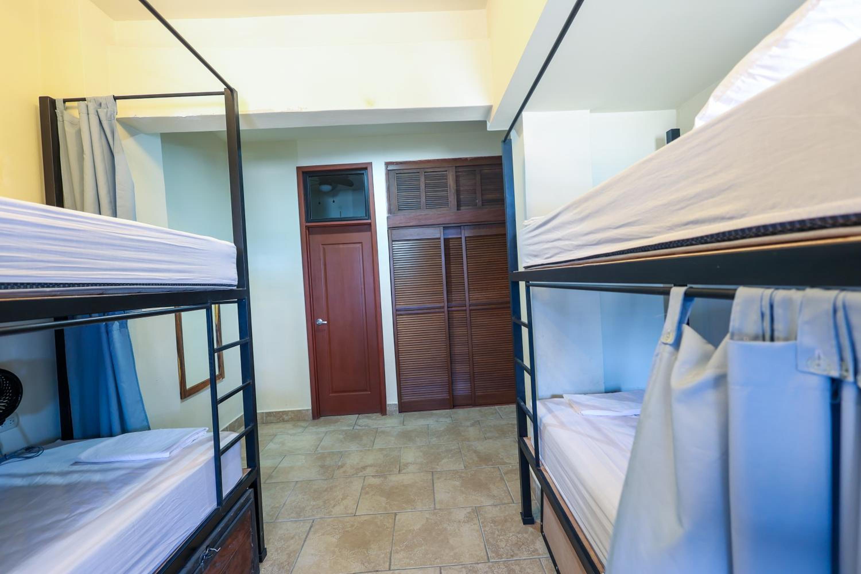 Bed in 4-Bed Dormitory Room photo 2