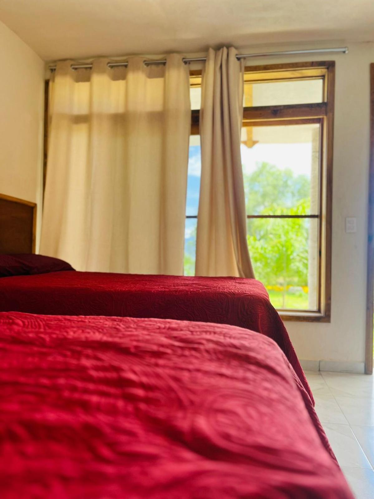 Twin Room photo 1