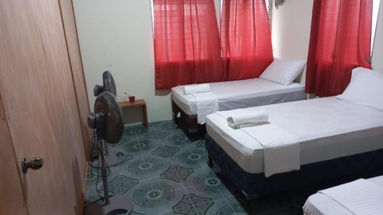 Single Bed in Mixed Dormitory Room photo 3
