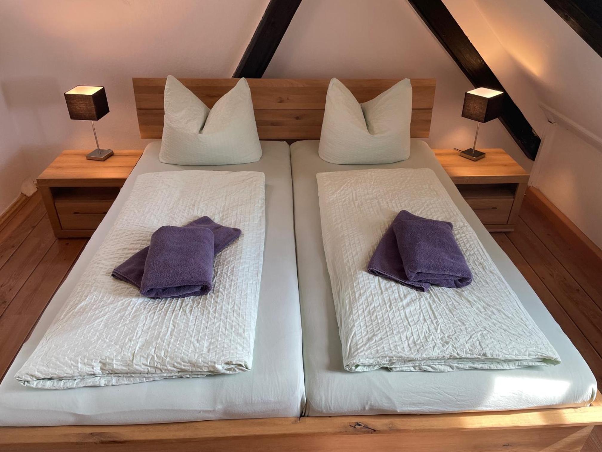 One-Bedroom Apartment with Park View