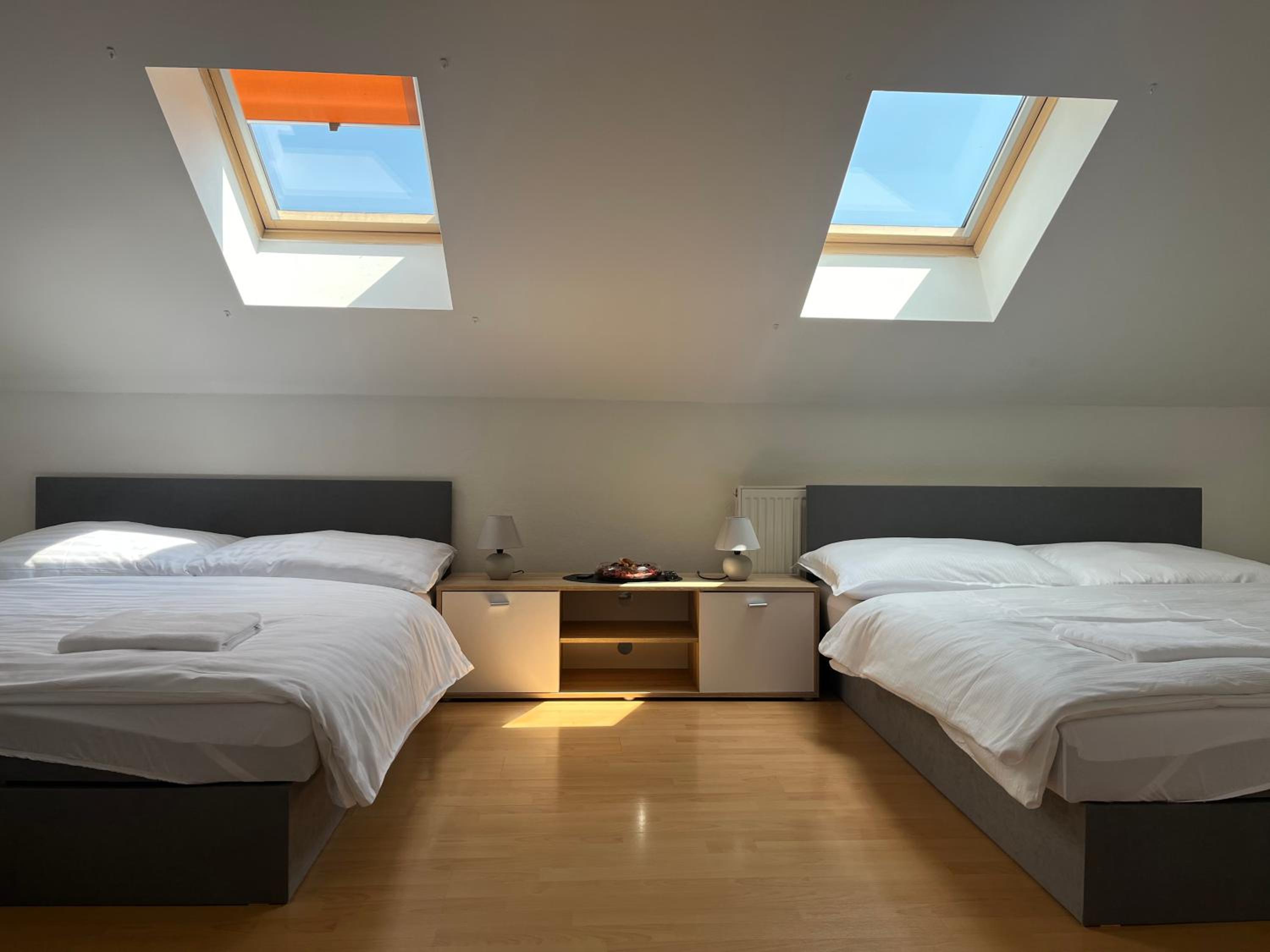 One-bedroom Loft Apartment  photo 2