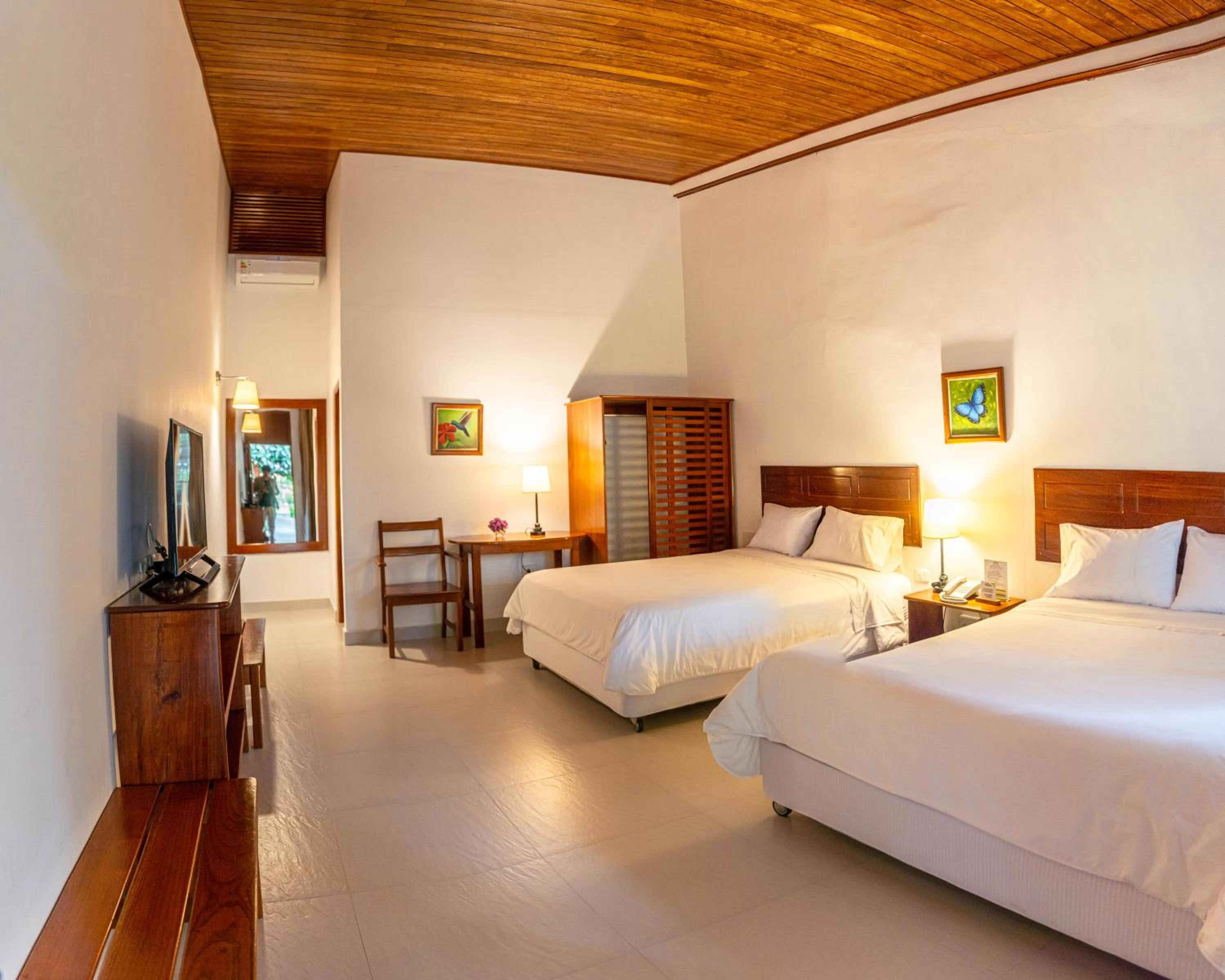 Superior Twin Room photo 2