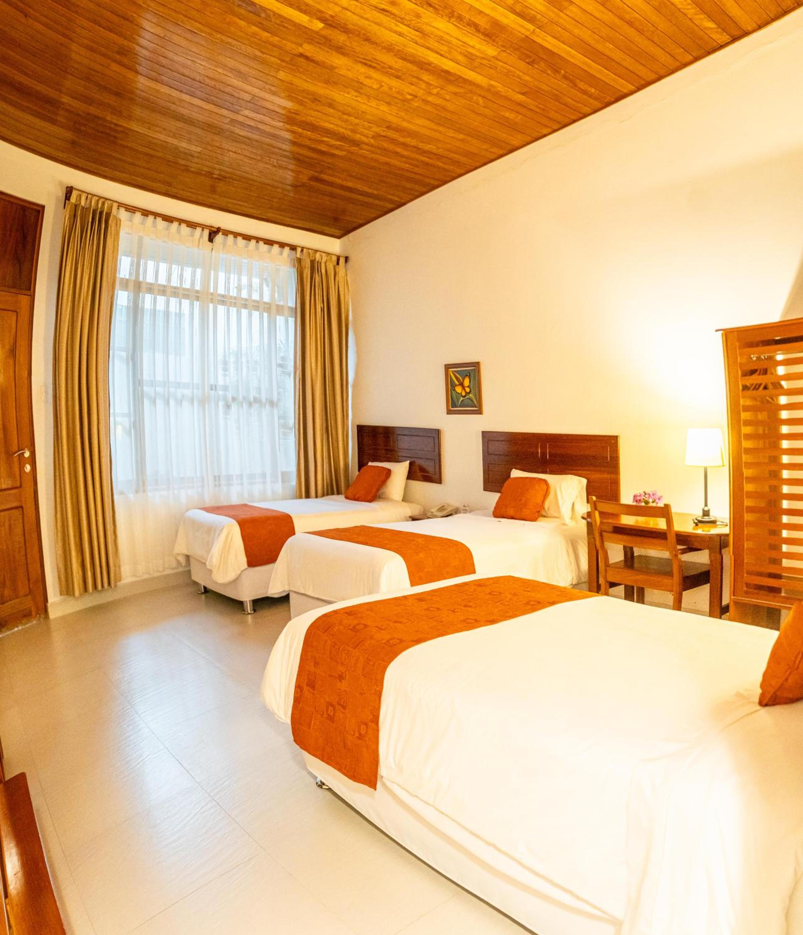 Triple Room with Terrace photo 3