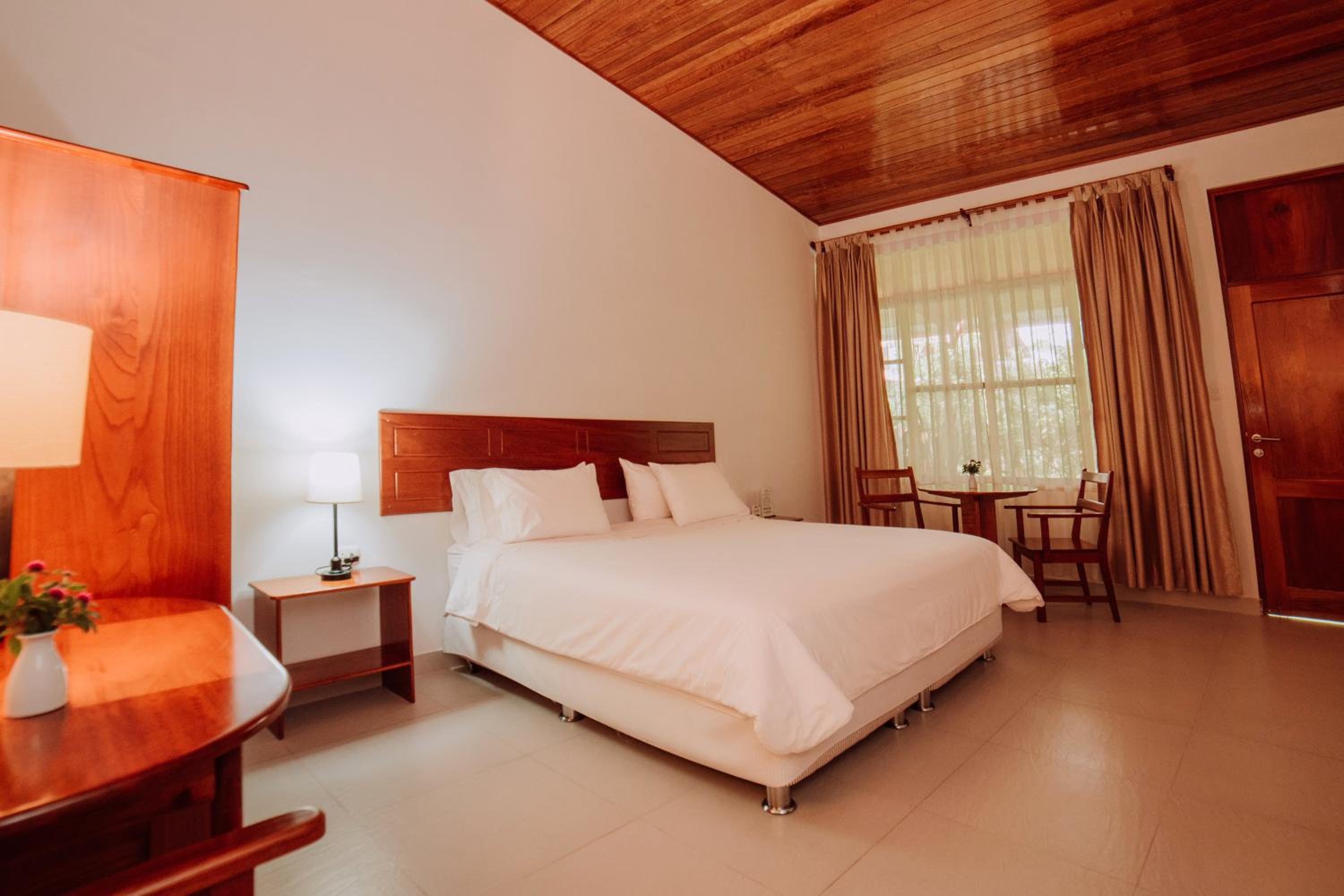 Double Room with Terrace photo 3