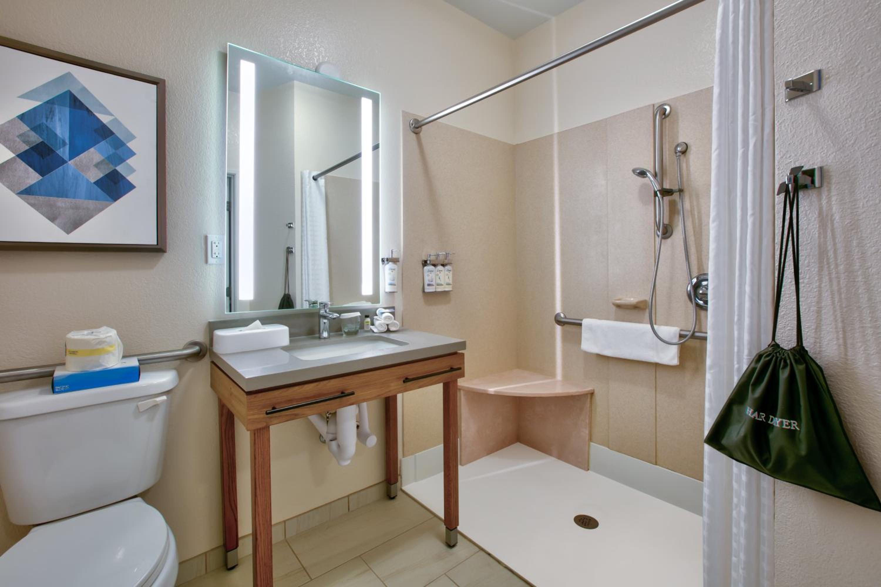 Queen Studio Suite with Hearing Accessible Roll in Shower - Non-Smoking - Photo 5