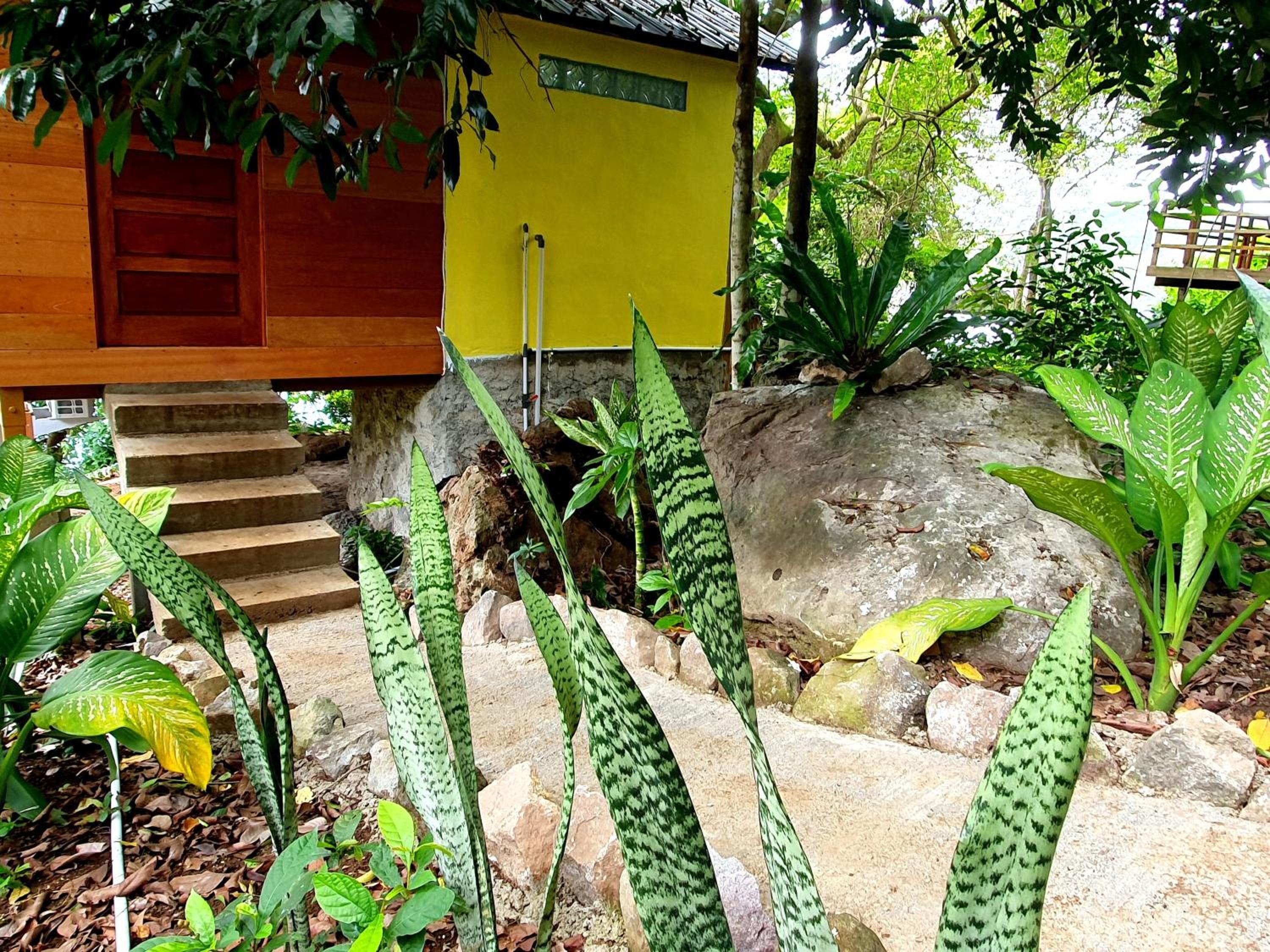 Superior Bungalow - Photo 2